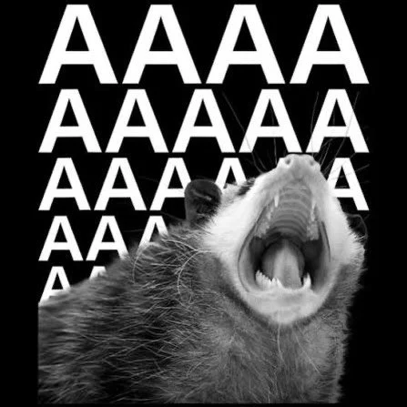 Semi annual social media moratorium in effect - book thru website, text for general communication, carrier pigeon and smoke signals also welcome.