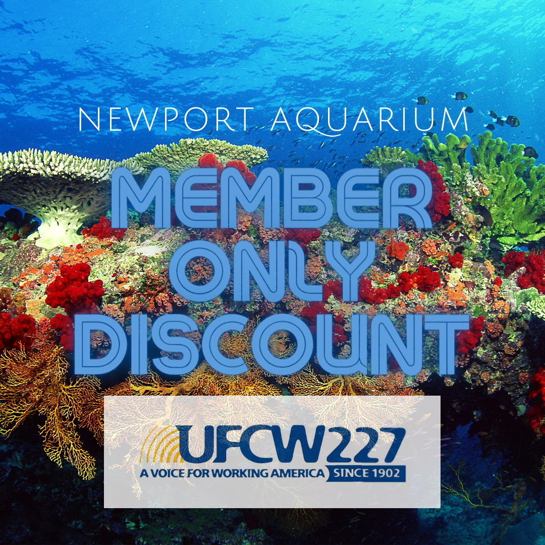 Use your UFCW 227 Membership for a Discount for Newport Aquarium! 