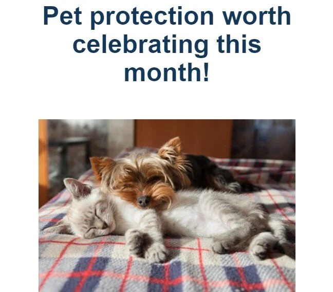 Pet protection worth celebrating this month!