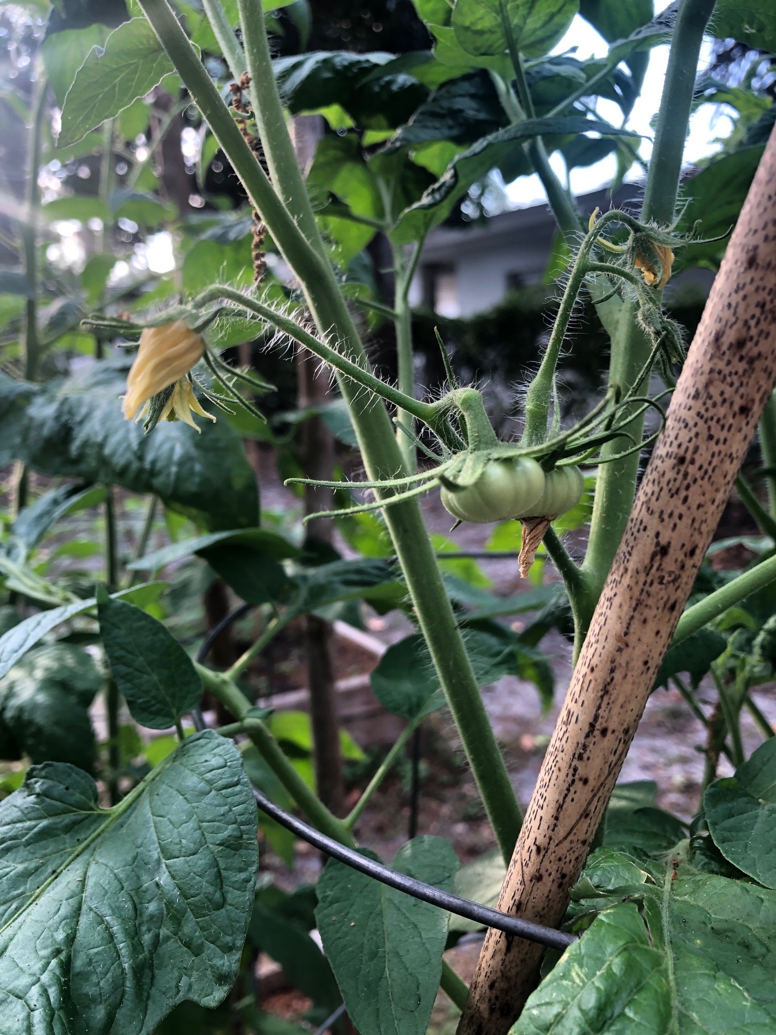 Random Seven Friday #9