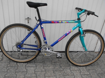 90s raleigh mountain bikes