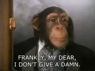 frankly my dear monkey.gif