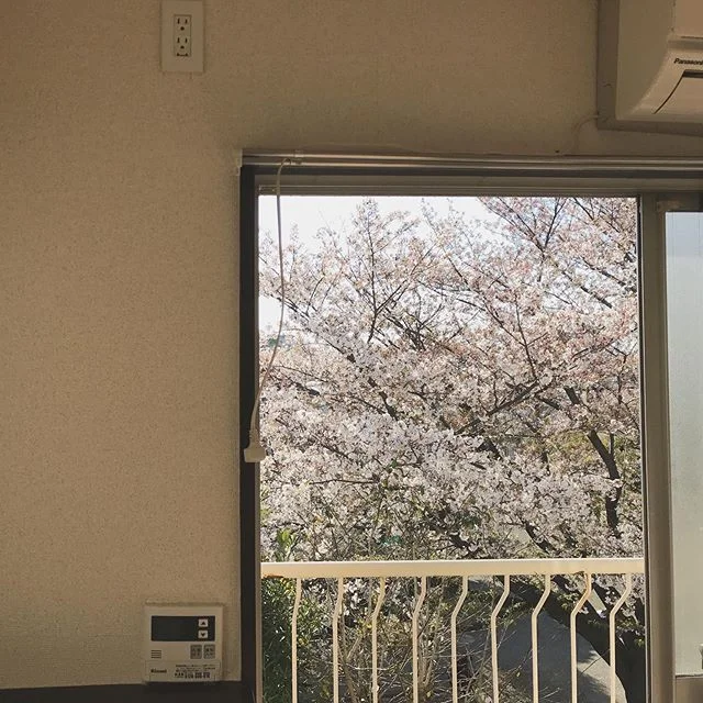 ｓｐｒｉｎｎｇ 
コインランドリー毎週行ってた