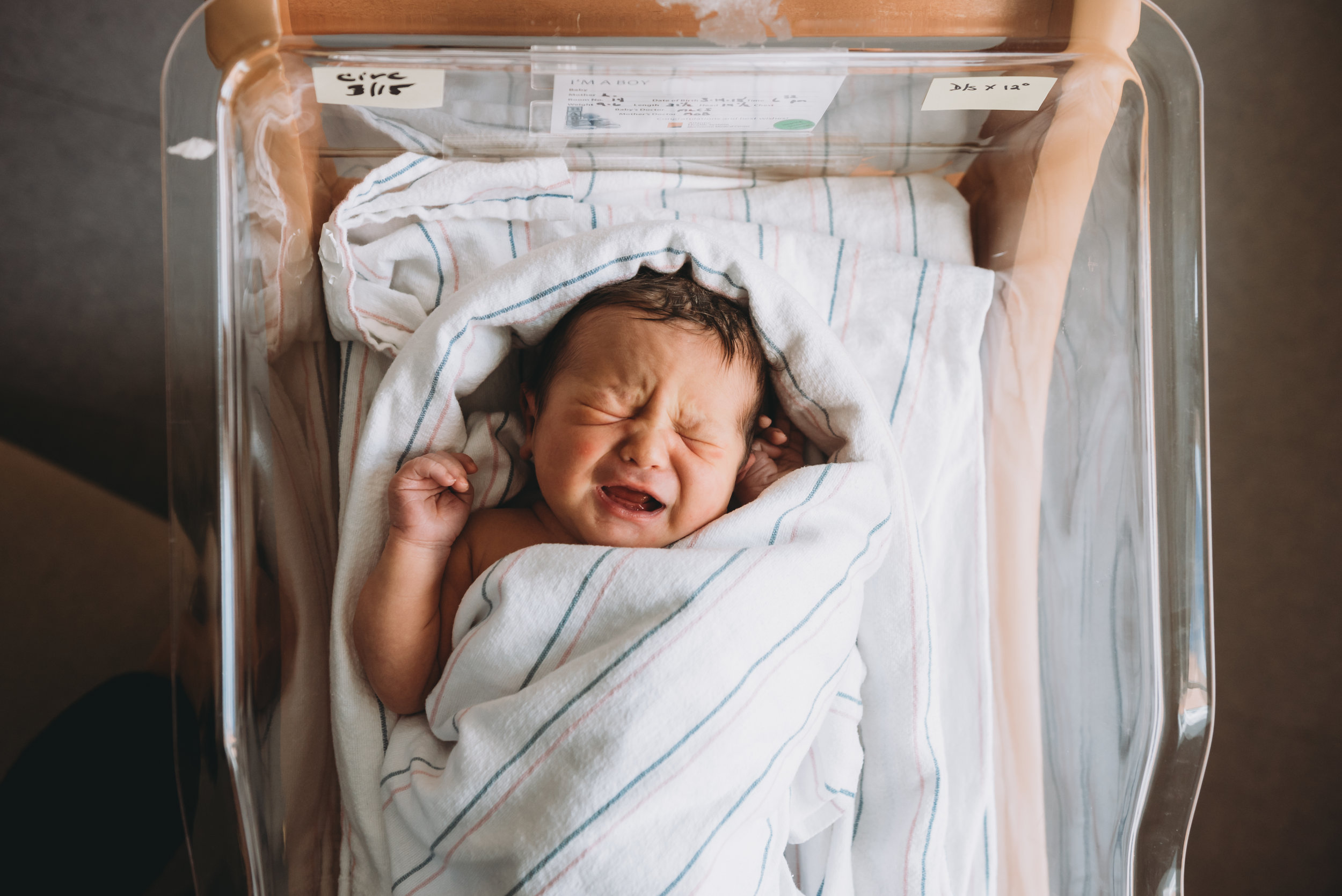 newborn in hospital blanket