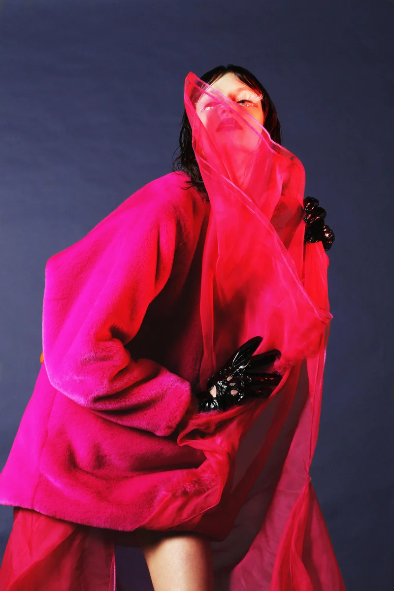 Top War Dog , Dress worn underneath Maison the Faux ,Gloves Malan Breton