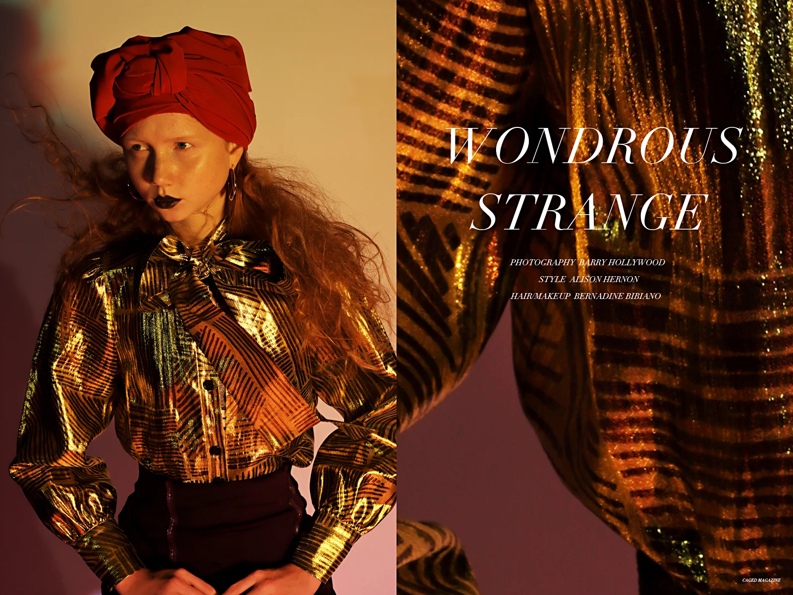 Top by Rebecca Minkoff, Skirt by Marie Saint Pierre, Headwrap is Stylist’s Own
