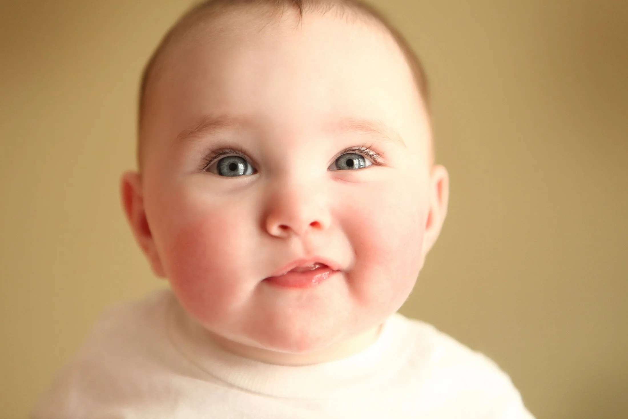 IMG_9871WEB.jpg