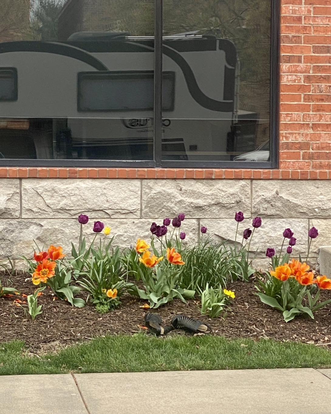 I&rsquo;ve got a lot of questions concerning these shoes left behind in the flower bed&hellip; 🤔 Maybe the flowers were just so pretty they were compelled to kick off their shoes and frolic down the street barefoot! 💃🏻🕺🏼🌷👠 #vagabonds #travelgr