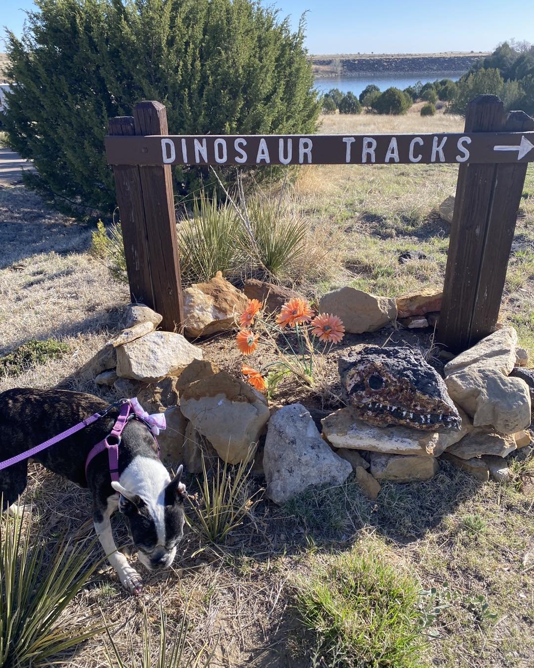 We couldn&rsquo;t leave Clayton Lake State Park without a short hike to see dinosaur tracks! 🦕 🦖🦕🦖🦕🦖🦕🦖