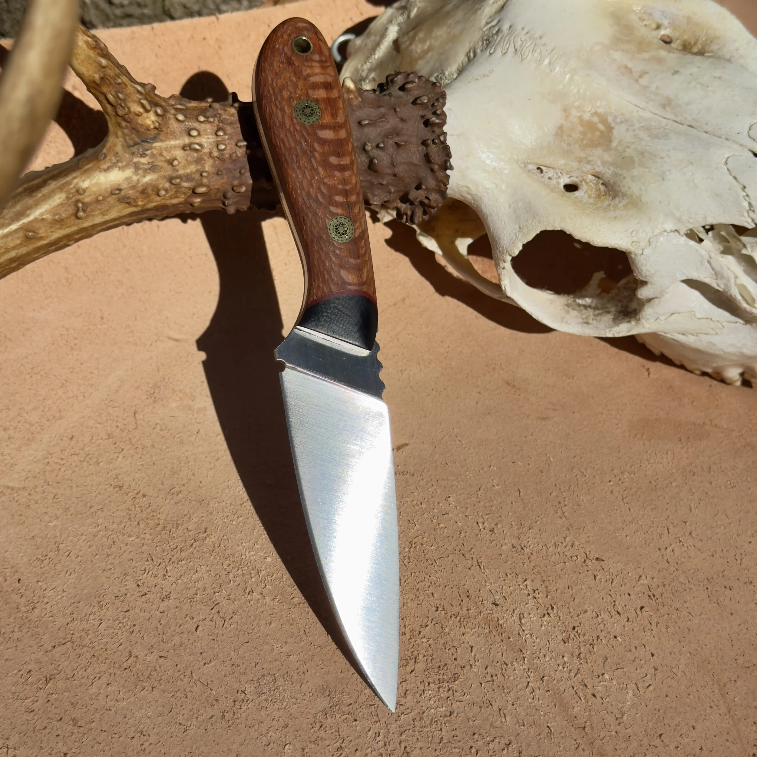 Custom lacewood handle hunter knife with satin CPM-154 stainless steel blade