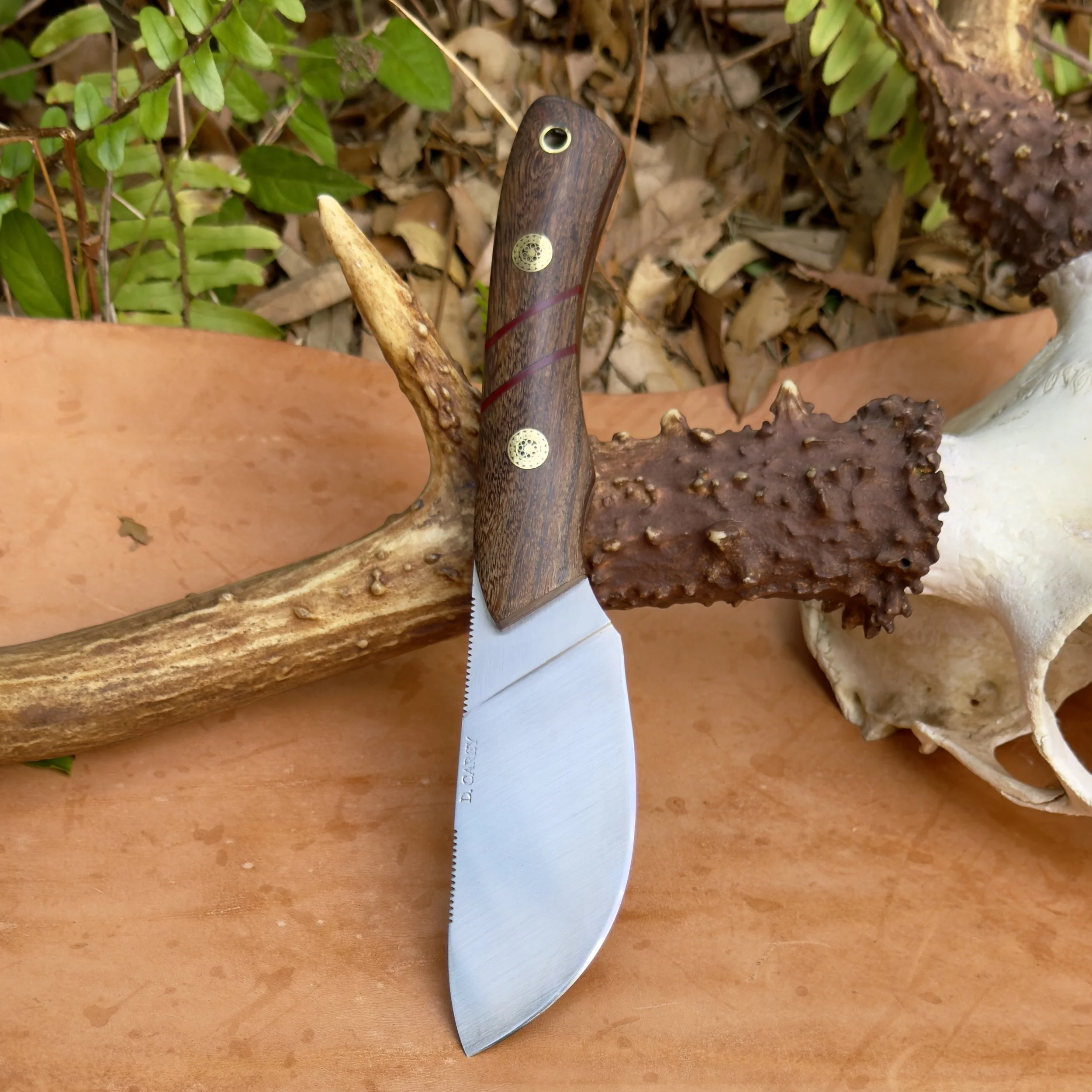 Handmade skinner knife with coffeewood handle on rustic wood surface