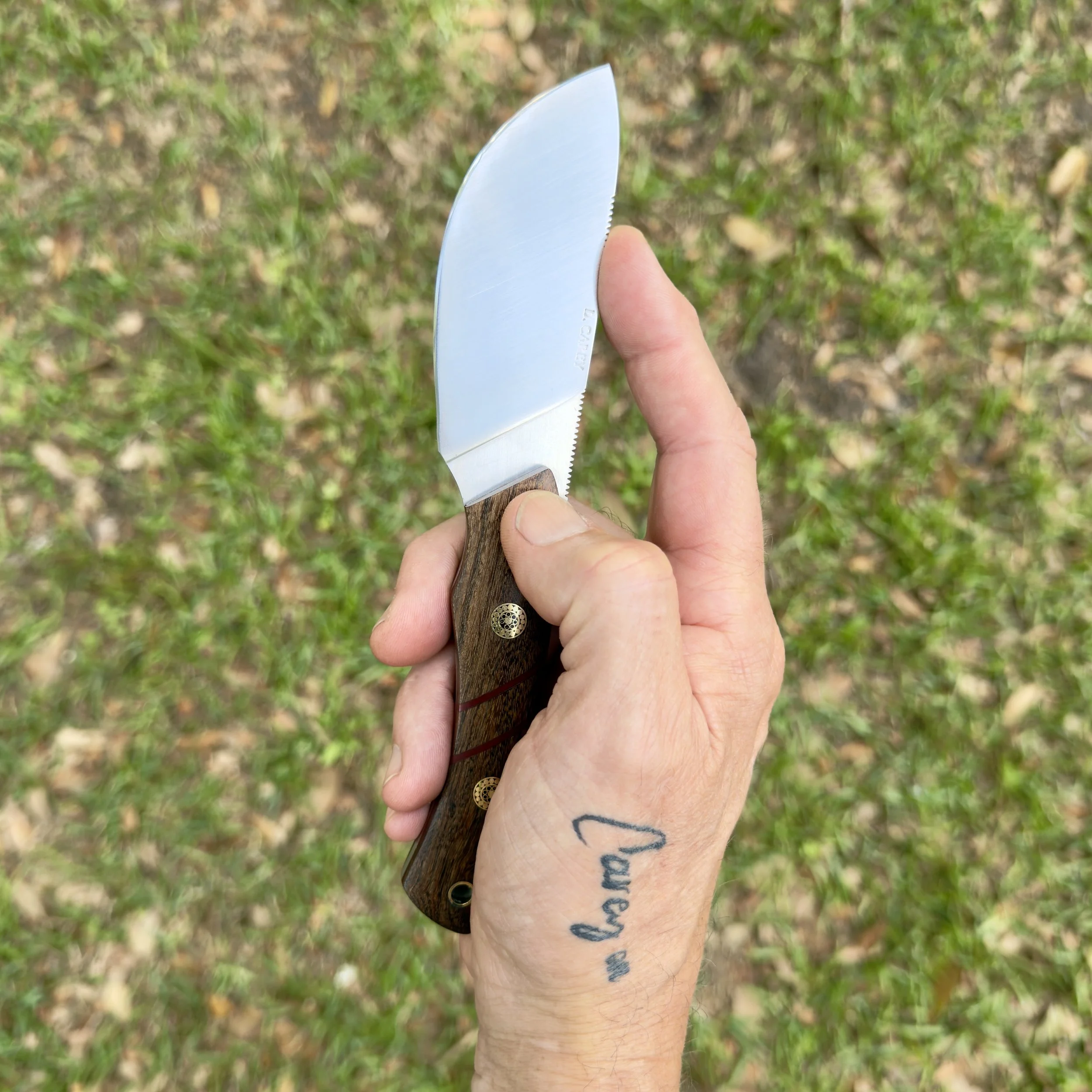 Compact CPM-154 skinner knife showing blade profile in hand