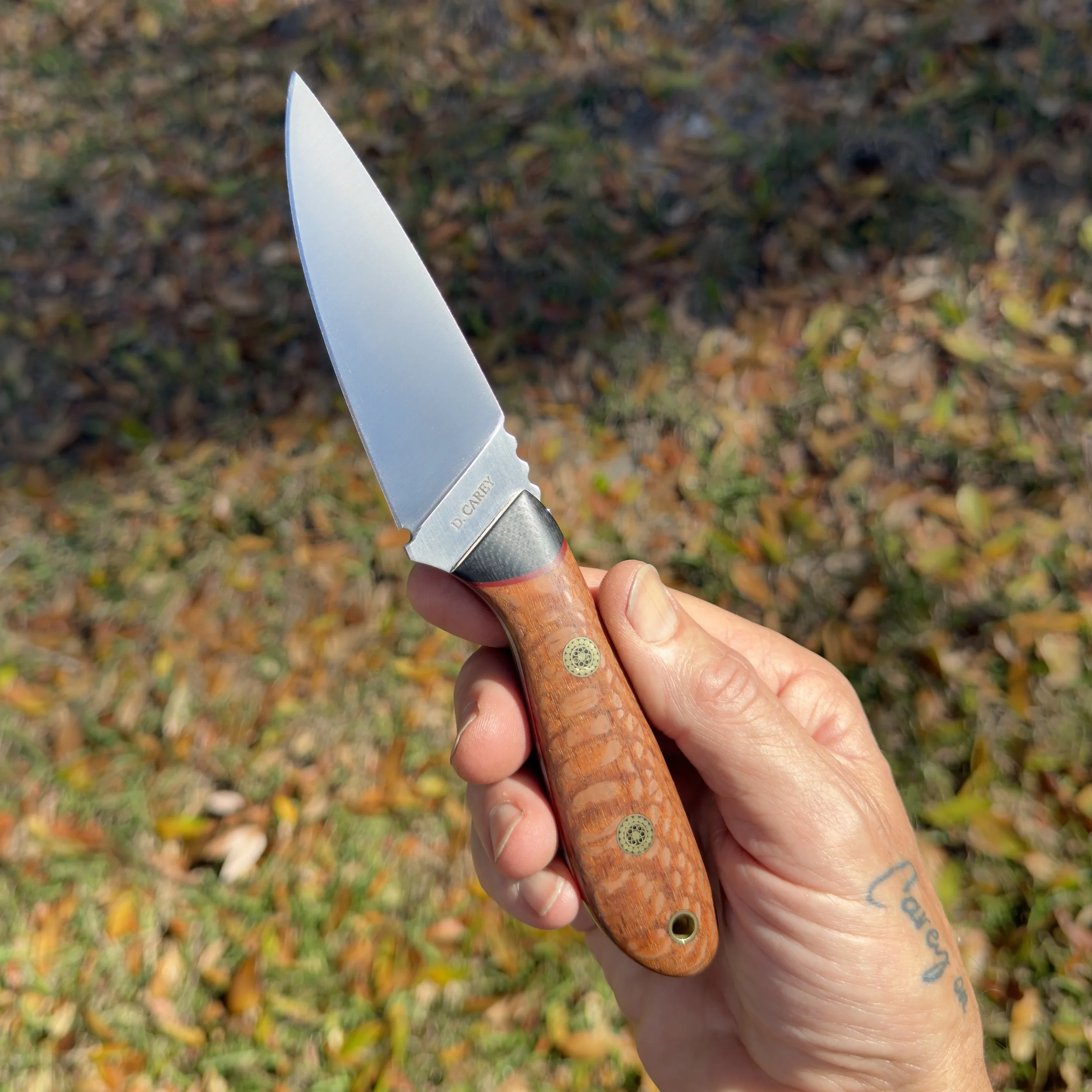 Handmade CPM-154 hunting knife with lacewood handle shown in hand for scale