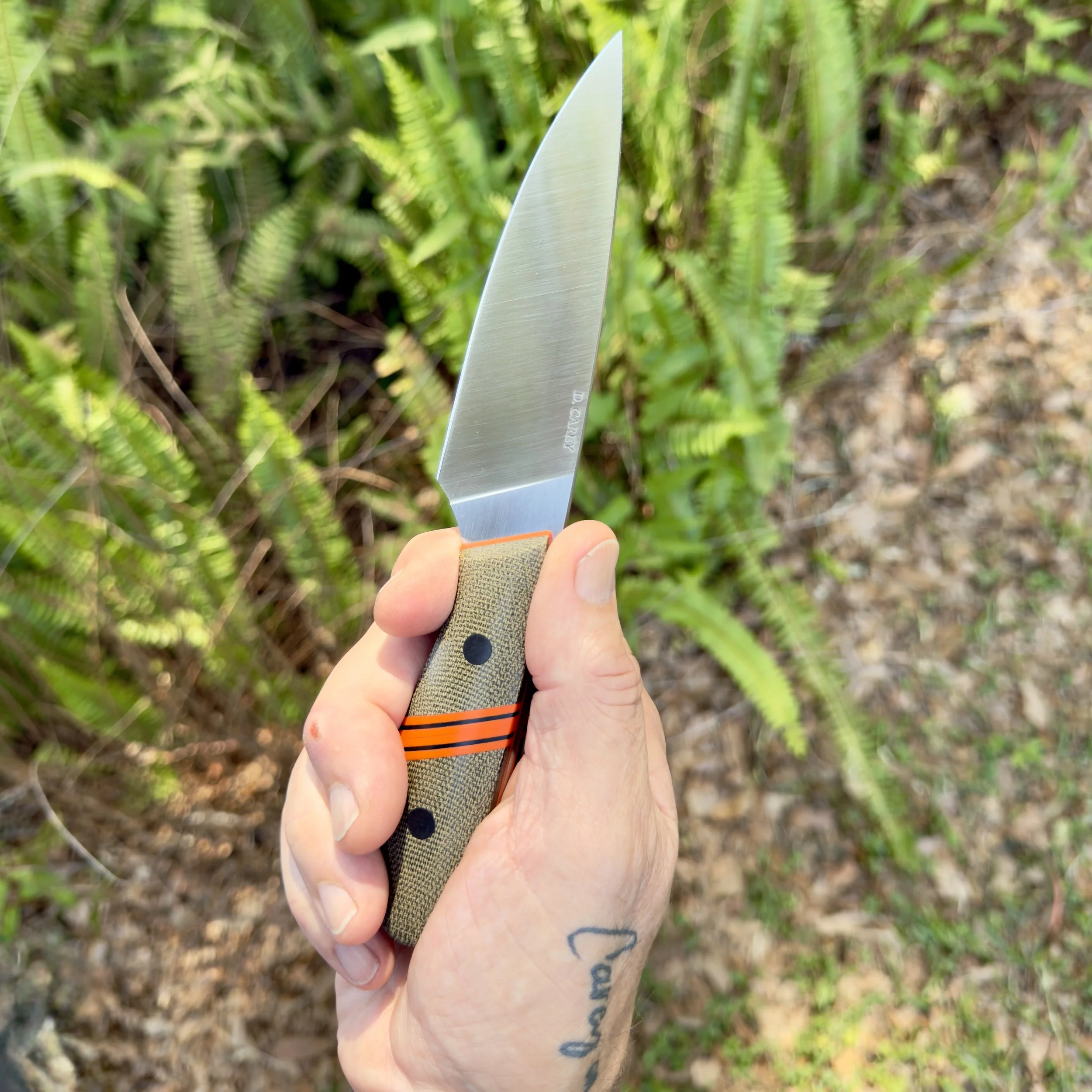 Hand holding compact EDC fixed blade knife with satin finished CPM-154 blade and green micarta handle in outdoor setting