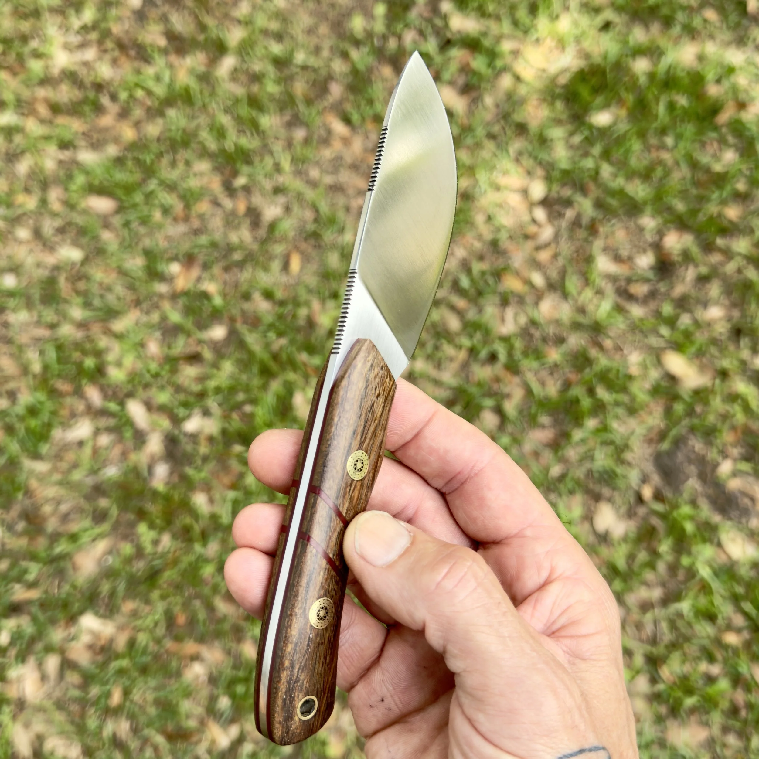 Close up of coffeewood handle with mosaic pins and red G10 liners