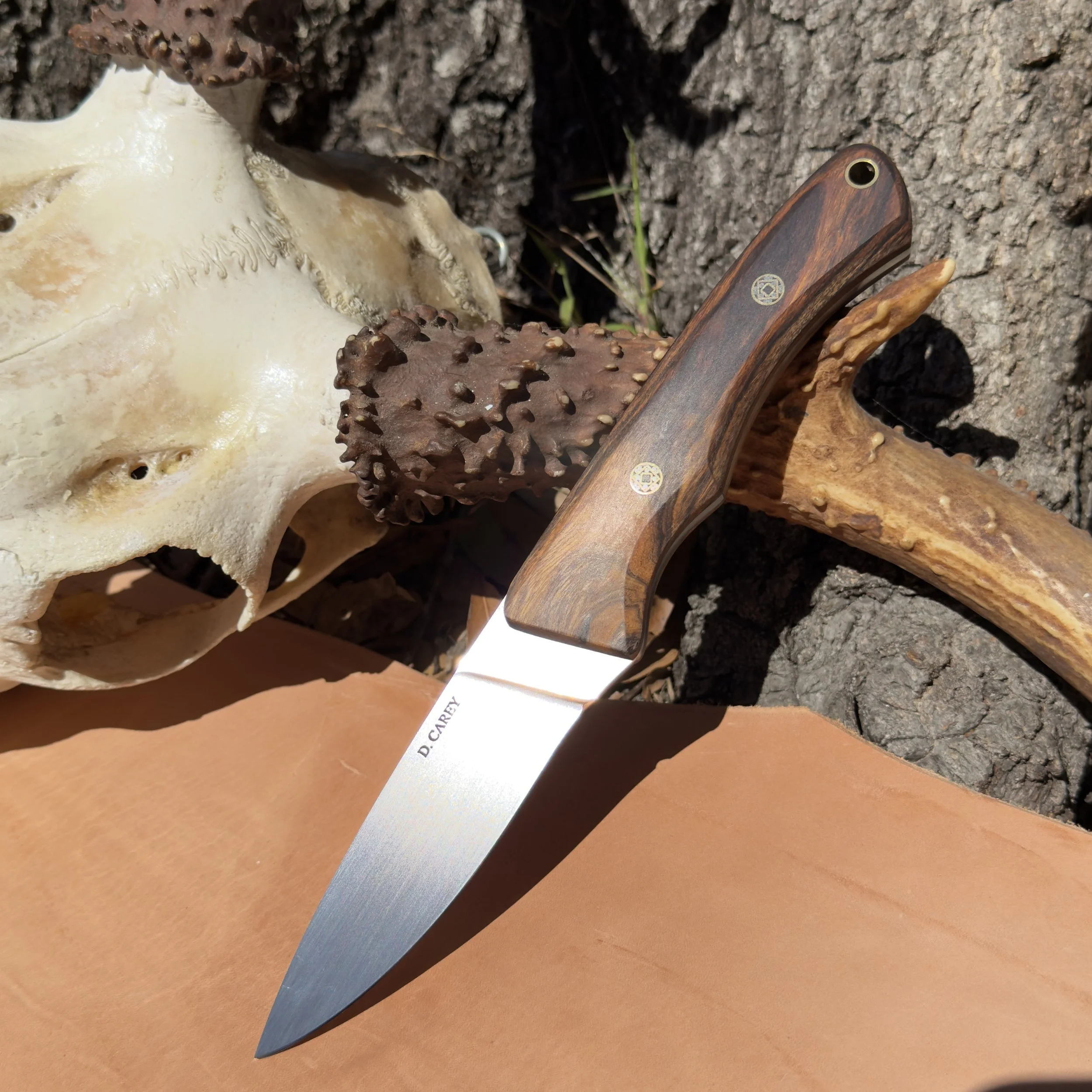 Handmade drop point EDC knife in CPM-154 stainless steel with desert ironwood handle