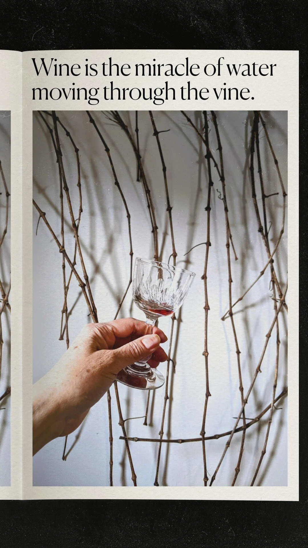 A New Way of Thinking About Wine: Wine and the Fourth Phase of Water