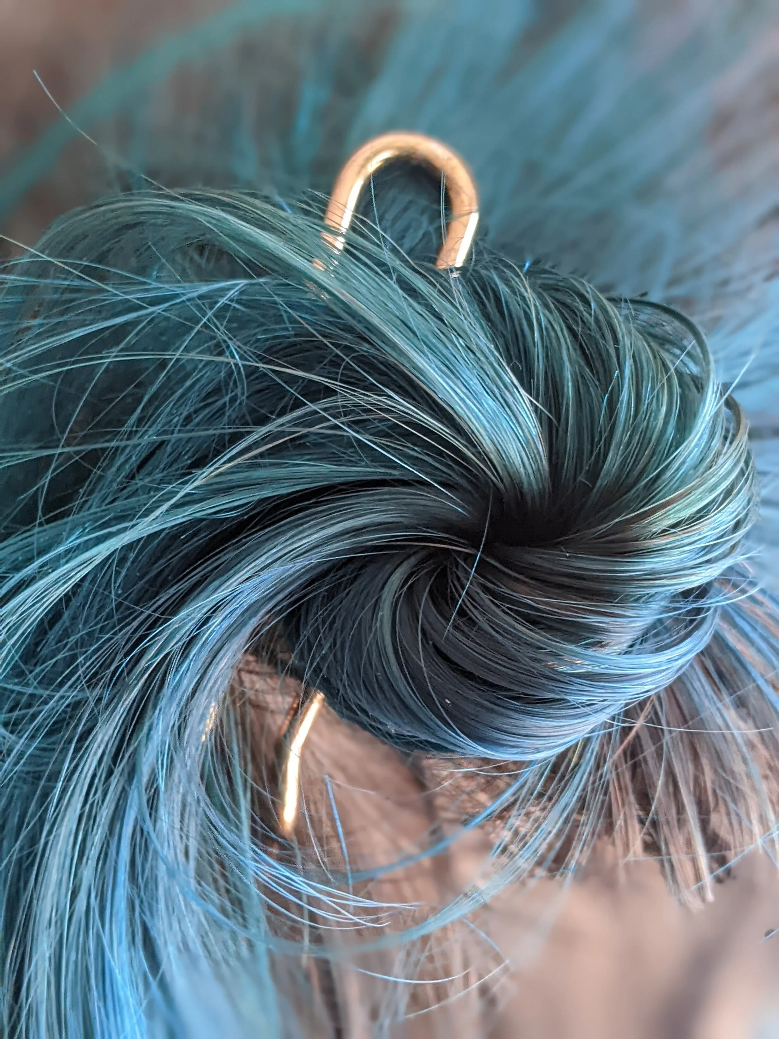 Blue Hair (1).jpg