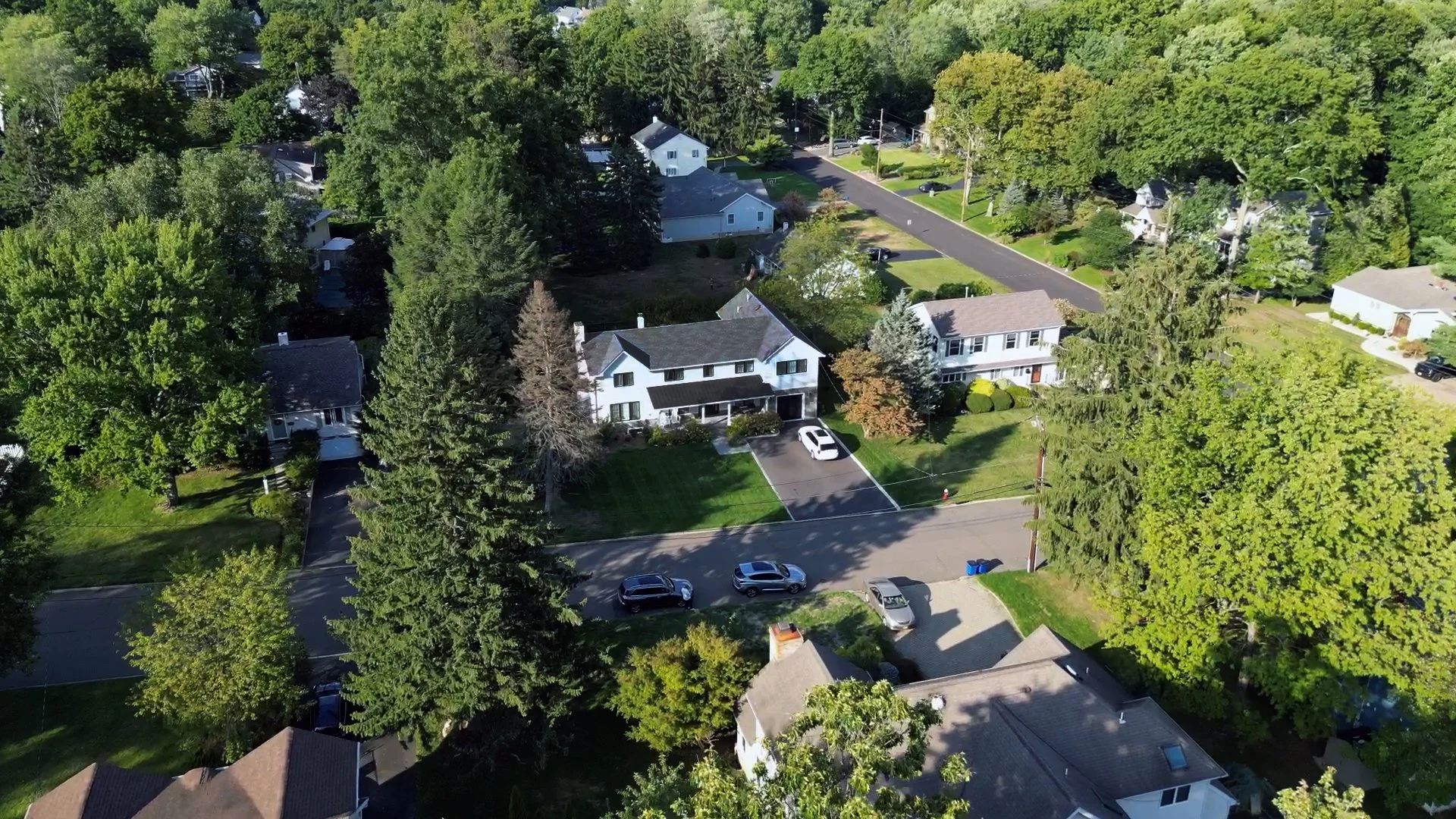 Leigh Residence - Overhead Aerial2 copy.jpg