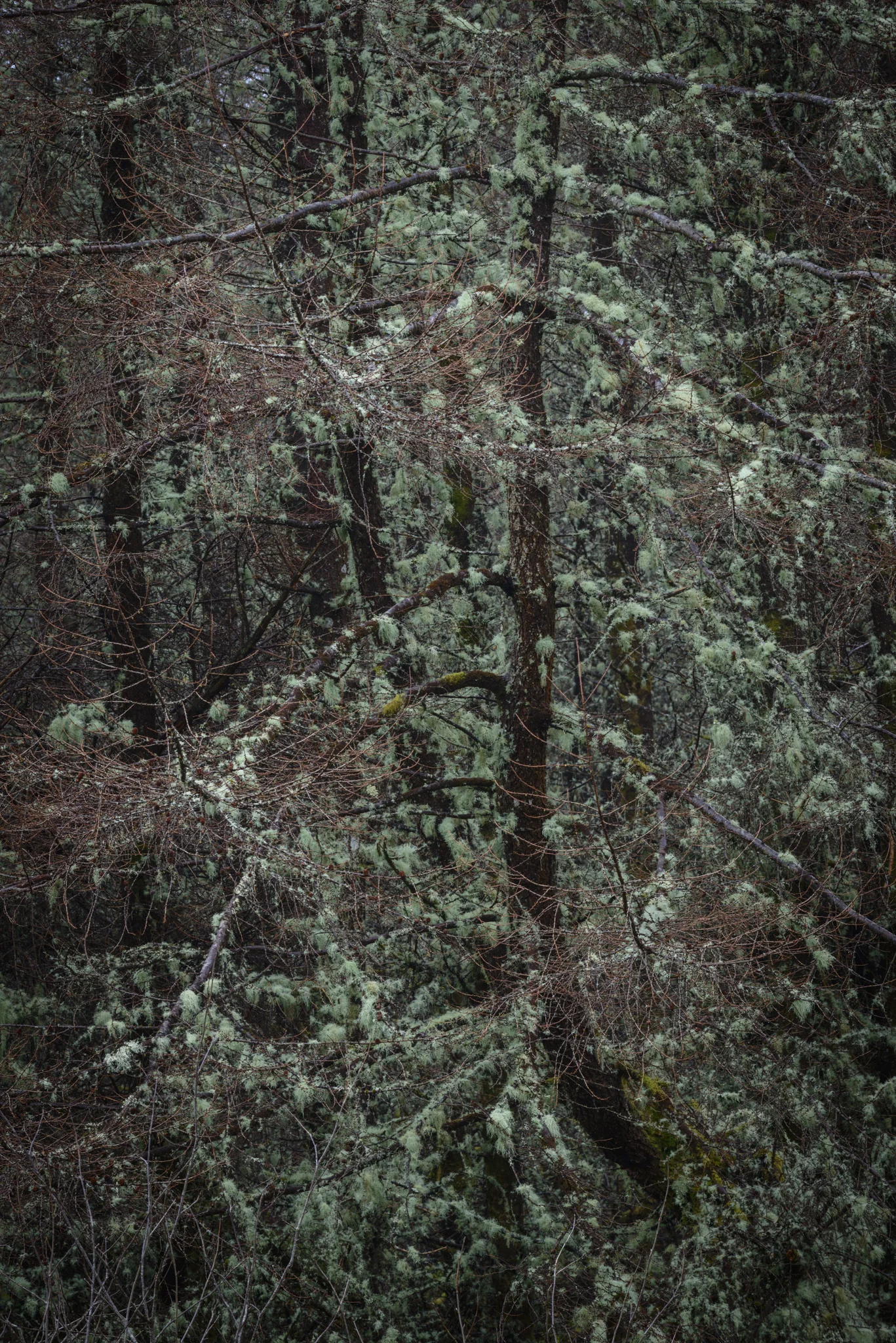20160324-Sleet-105.jpg
