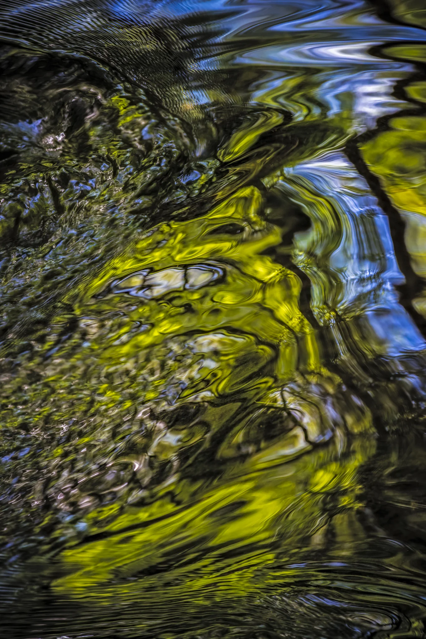 Tollymore-abstract no 2-Edited.jpg