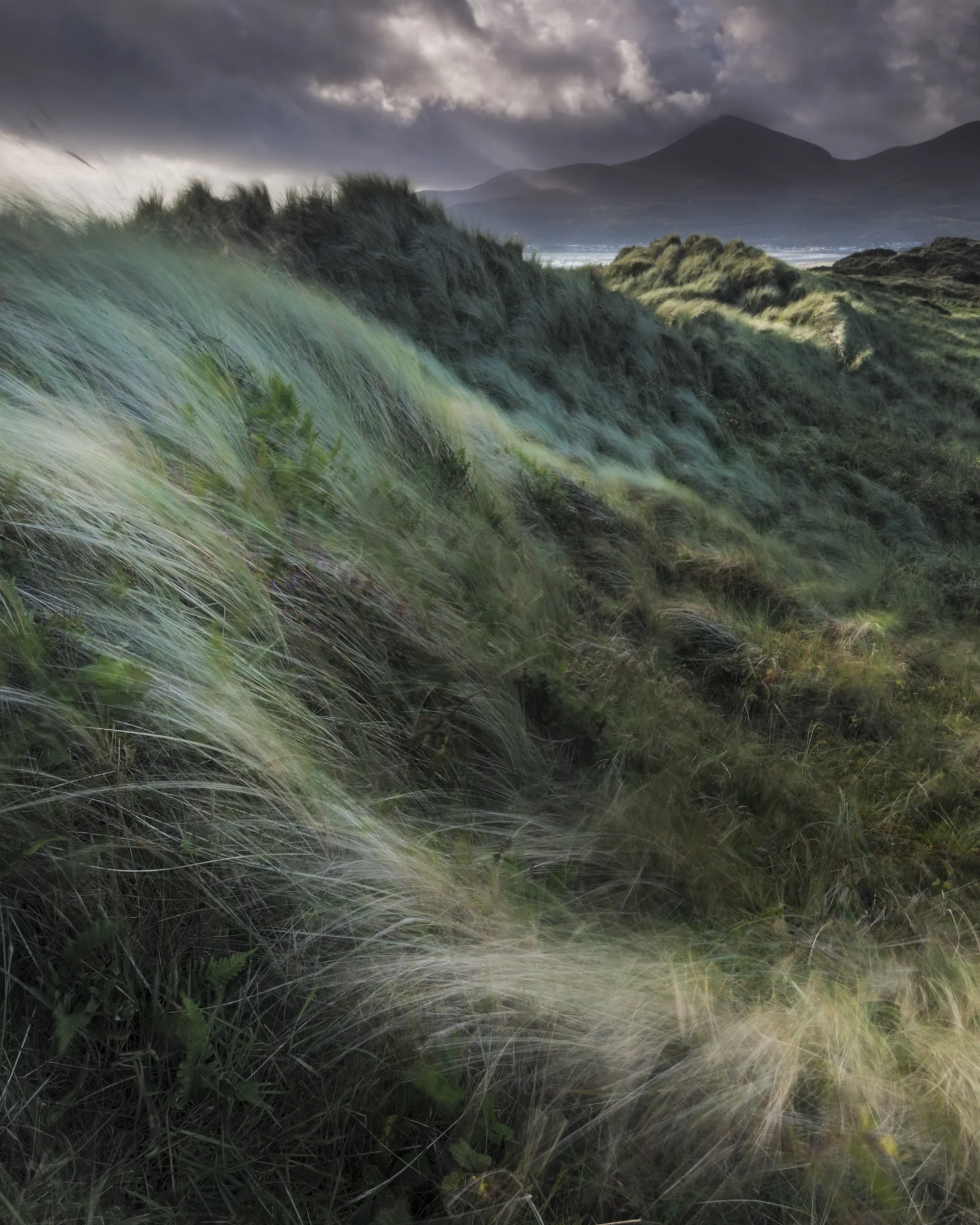 20131027-Murlough Dunes-043-Edited.jpg