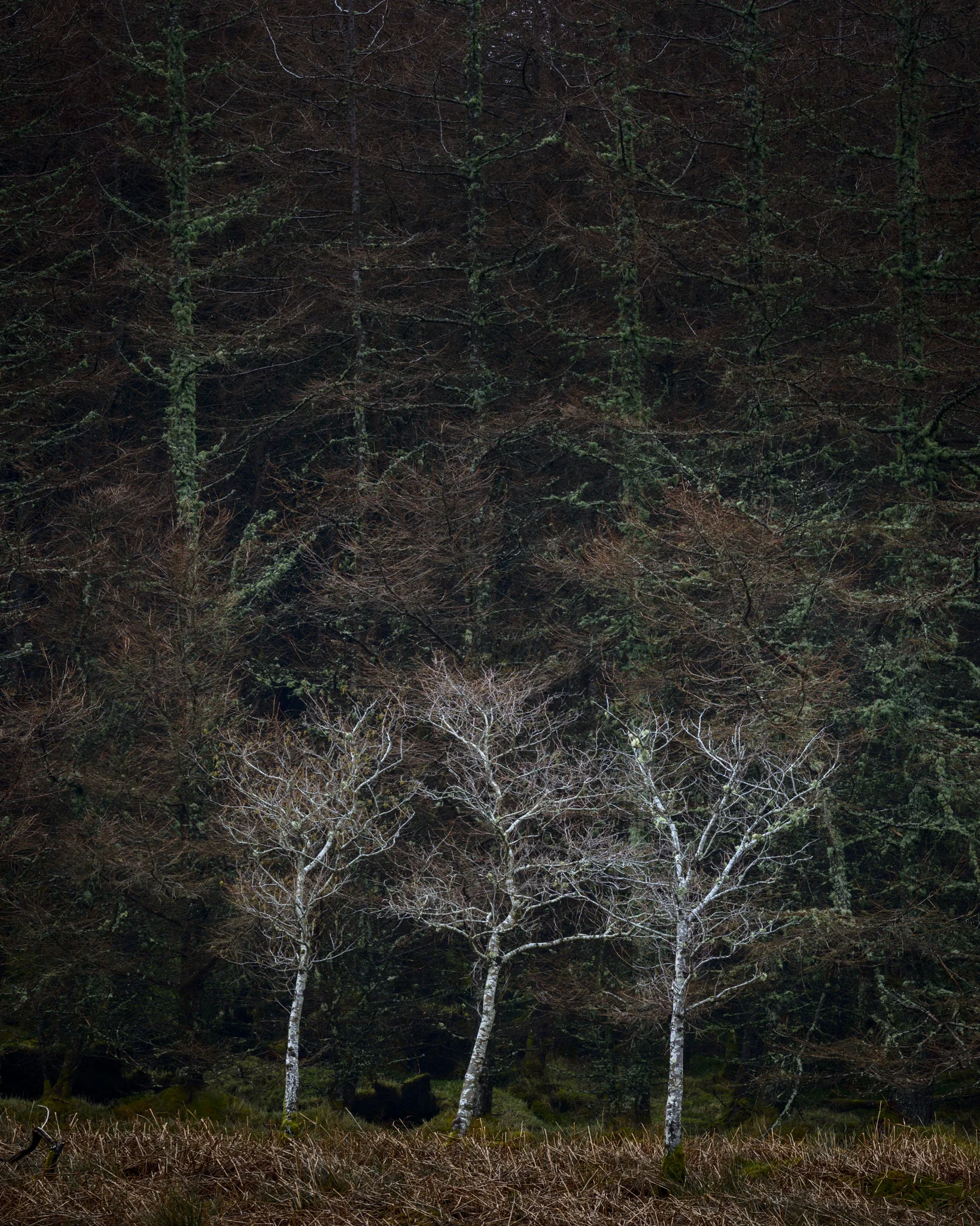 20160324-Sleet-093.jpg