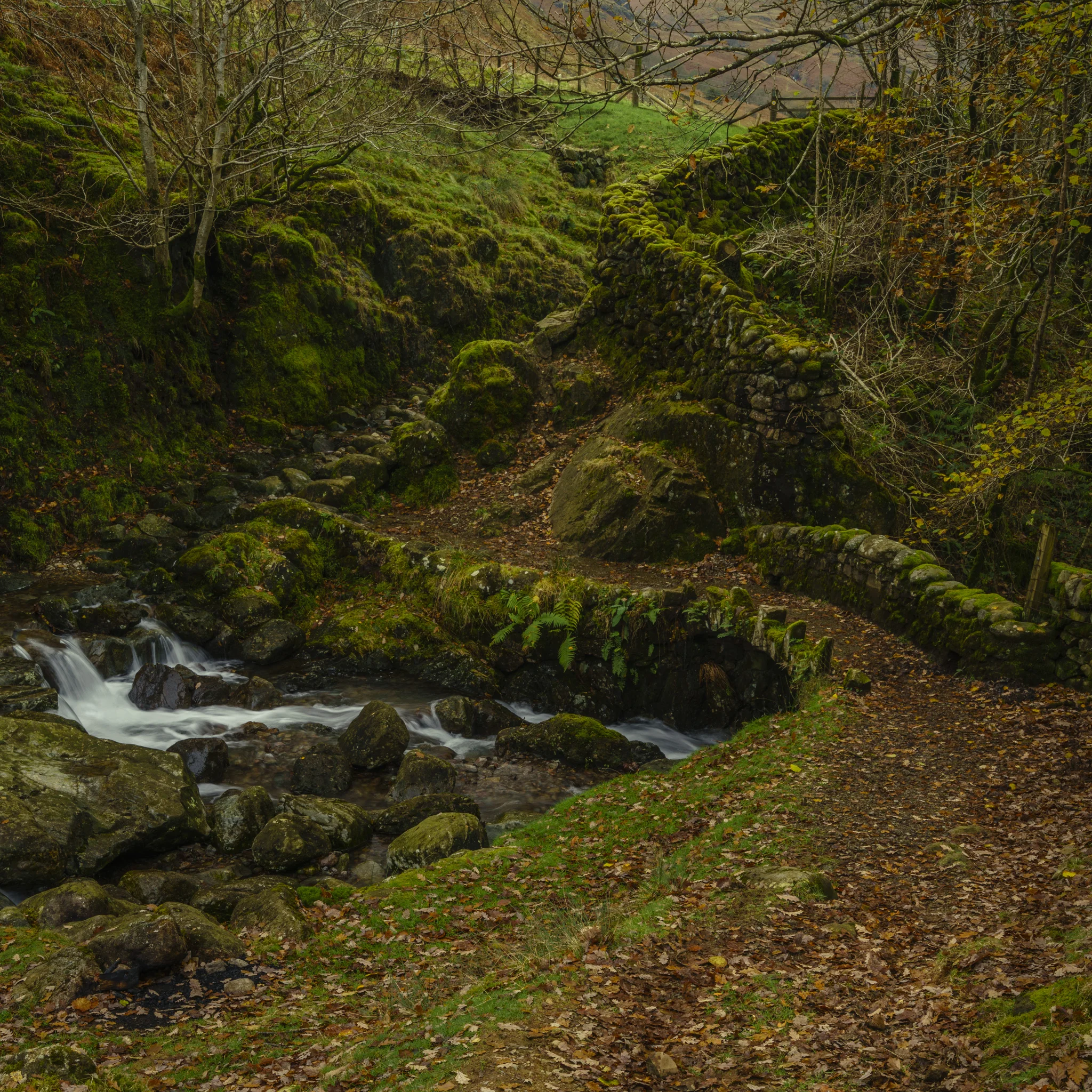 20171115-Lake District-184- Edit.jpg