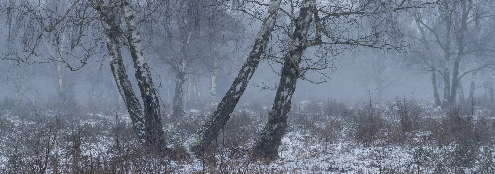 20180301-Greenham Common-150.jpg