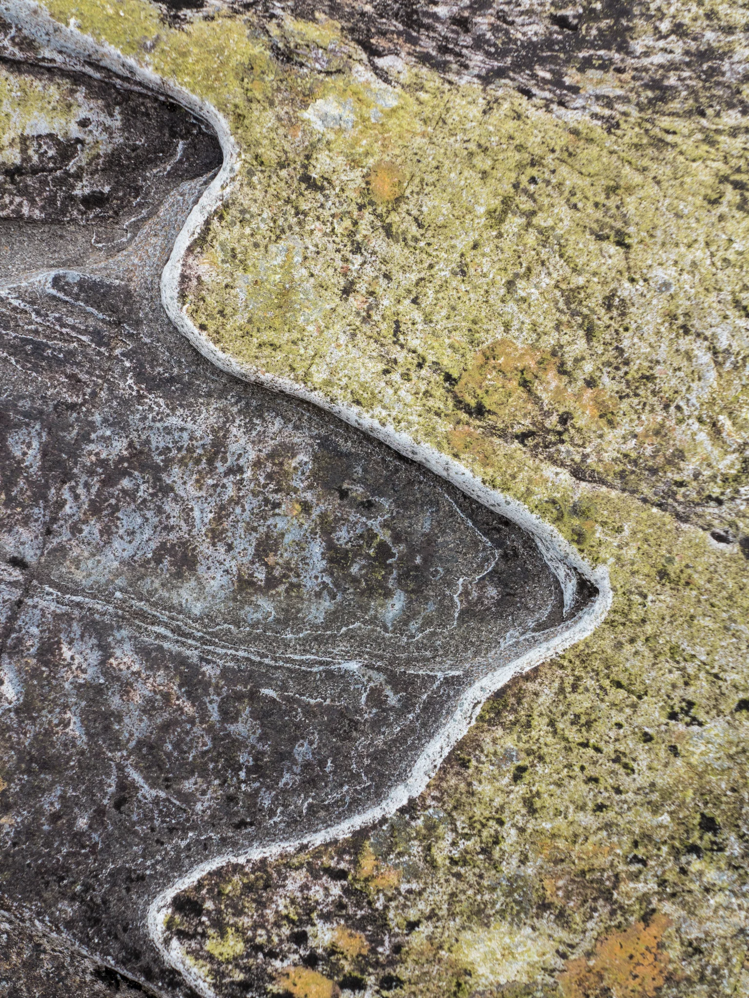 20120405-Glen Orchy-428.jpg