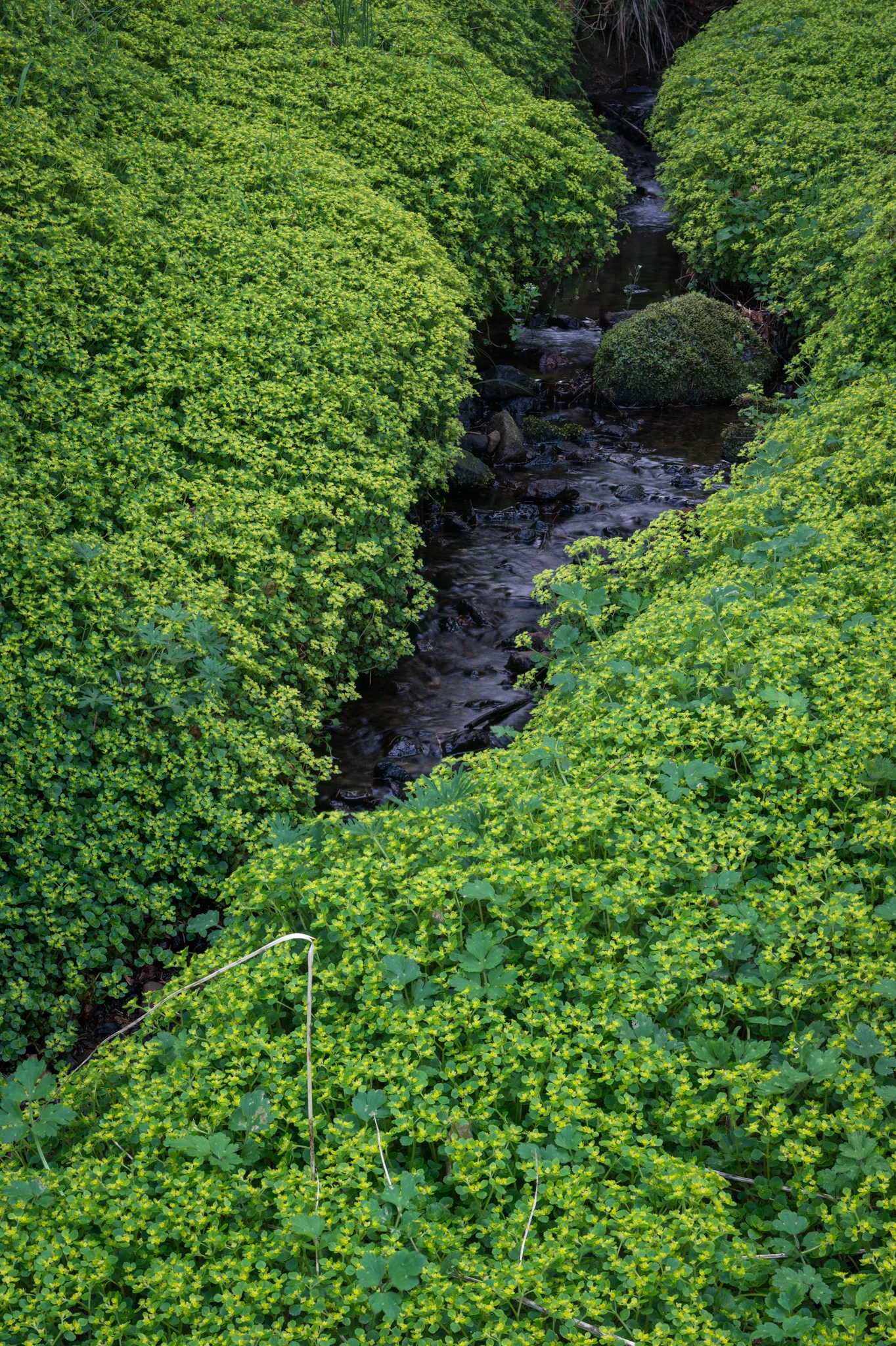 20140426-Glenariff-117-Edited-Edited.jpg
