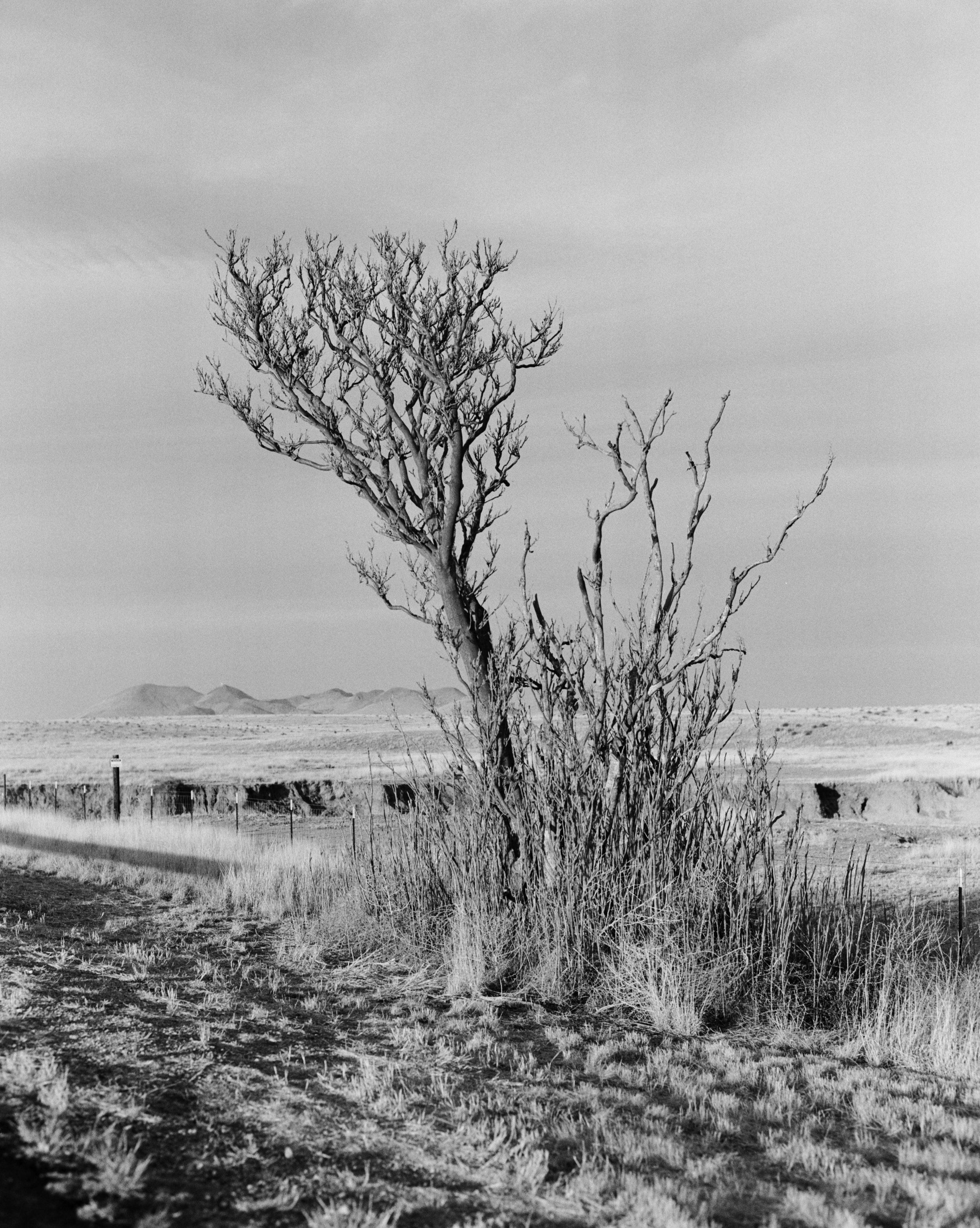 marfa-5287-400TX-06.jpg