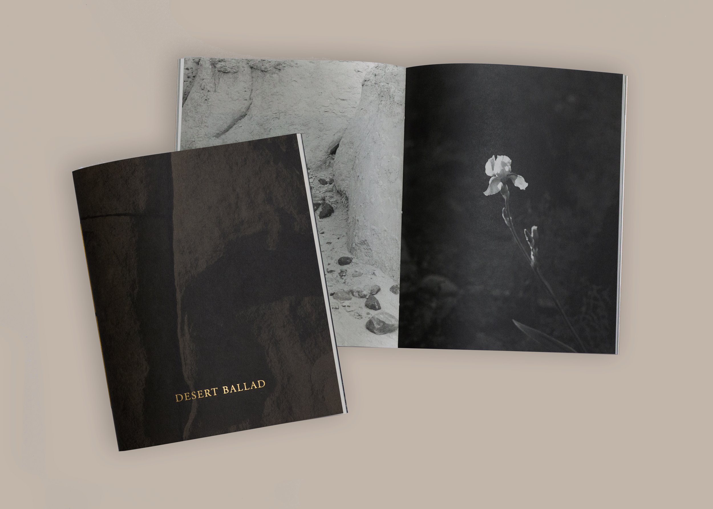 DesertBallad_Spread1.jpg