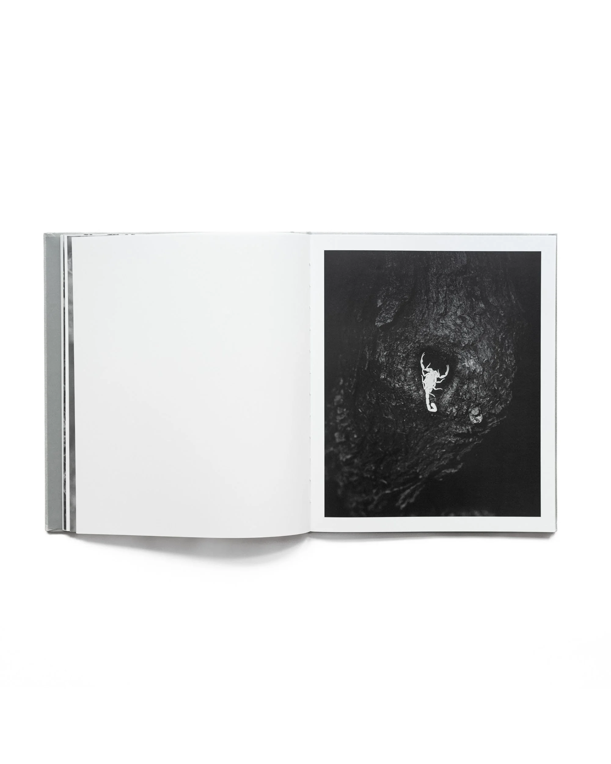 ORACLE_BOOK22.jpg