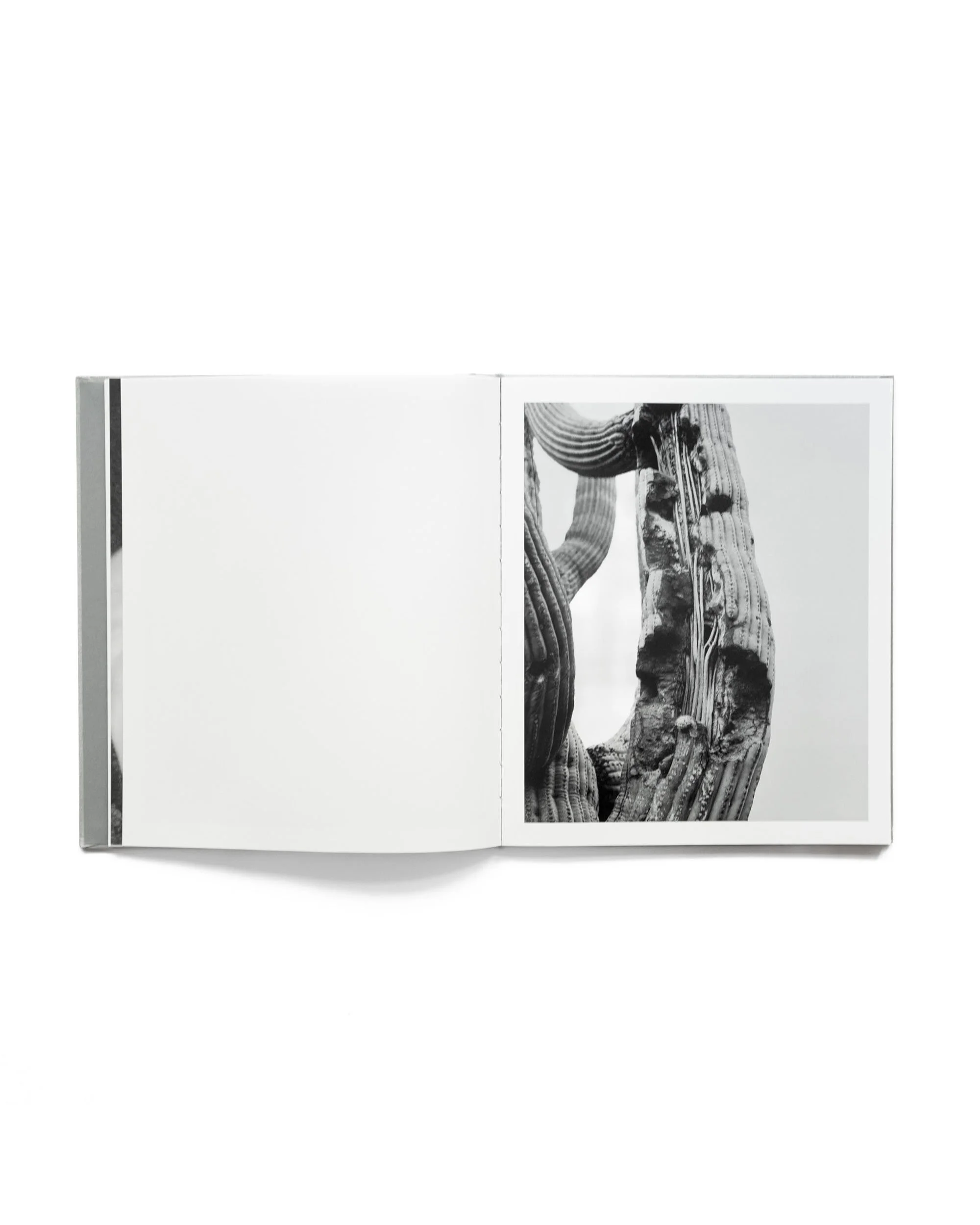 ORACLE_BOOK11.jpg