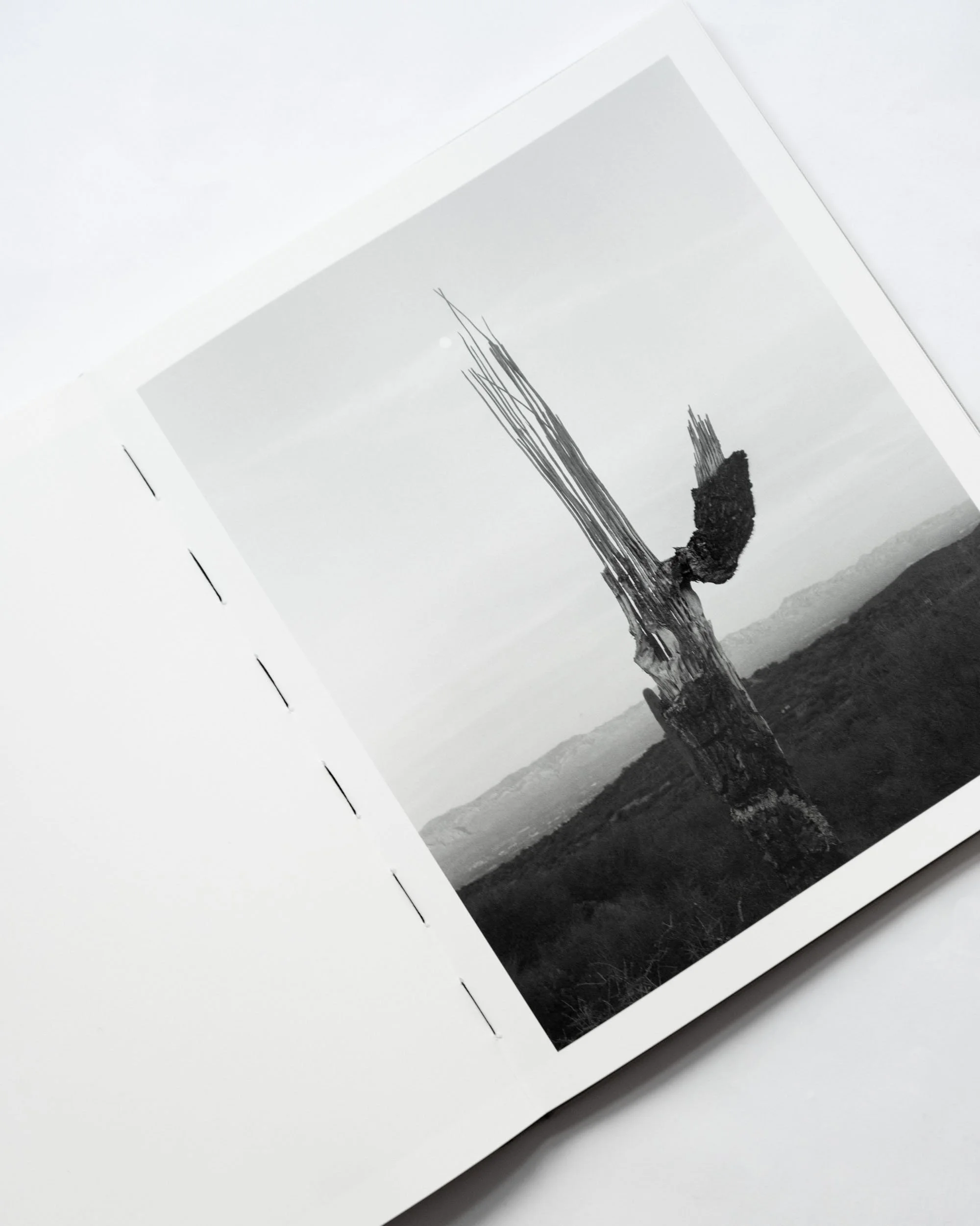 ORACLE_BOOK14.jpg
