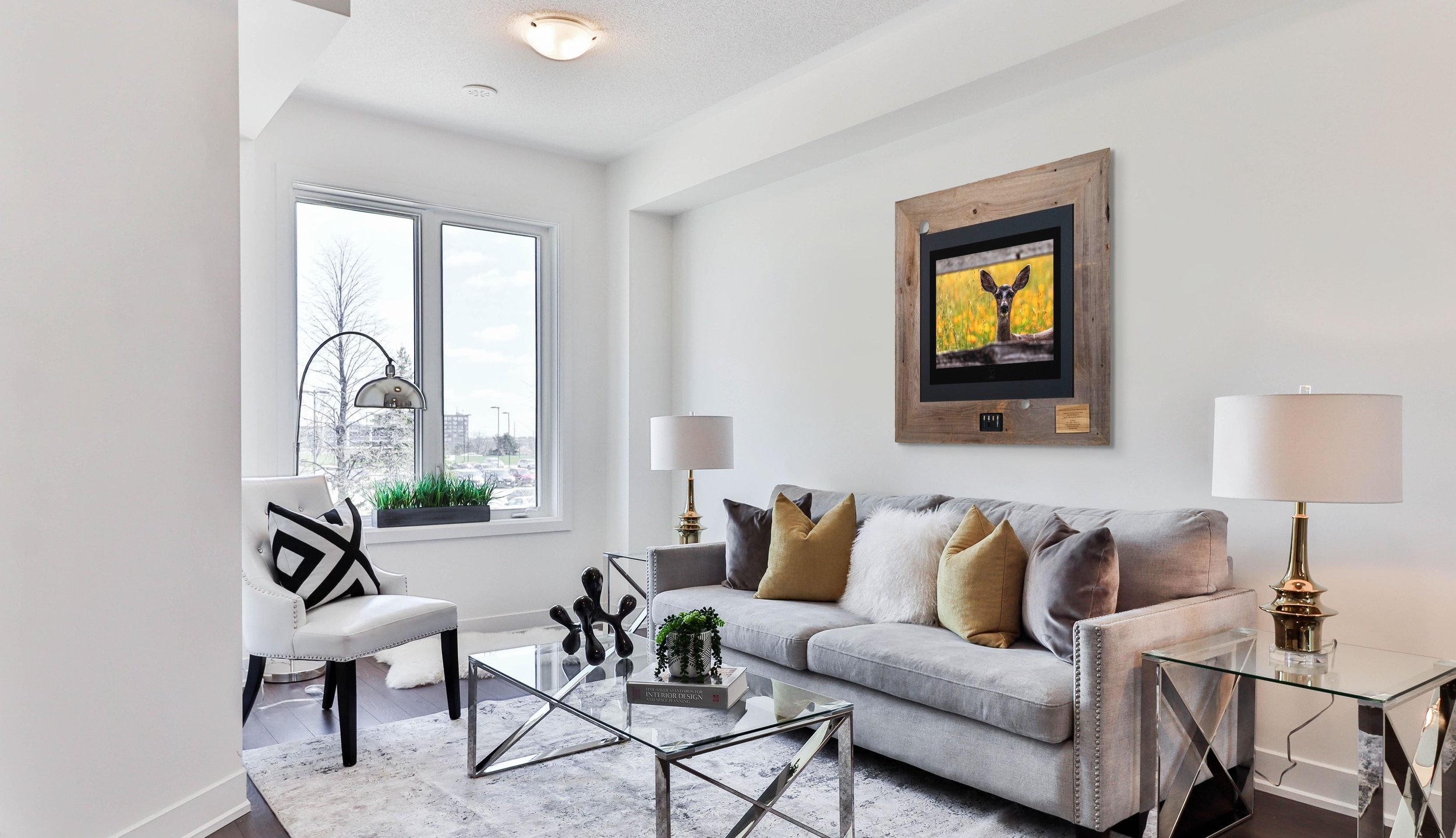 Black-tailed Deer ROOM.jpg