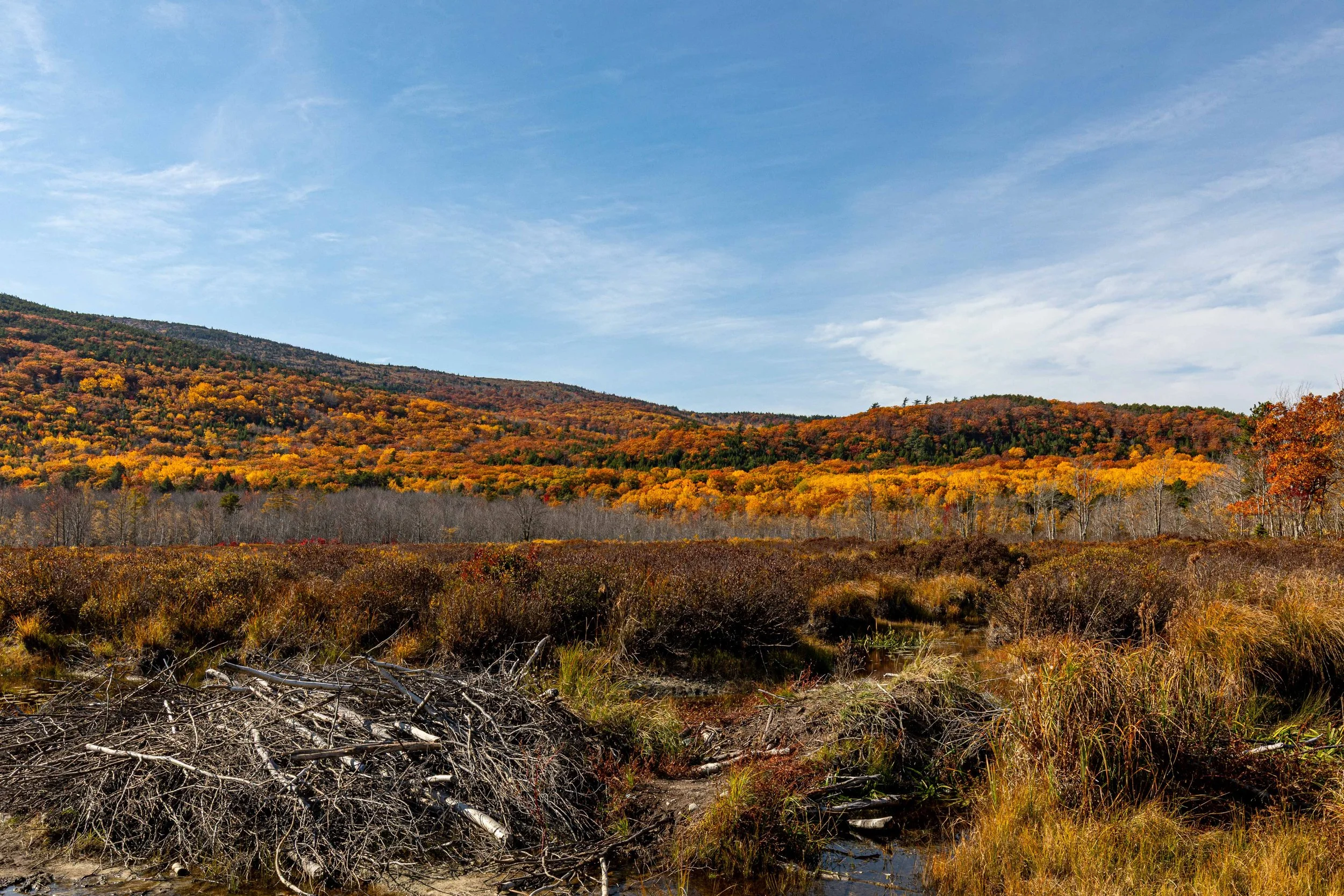 Acadia National Park, Maine