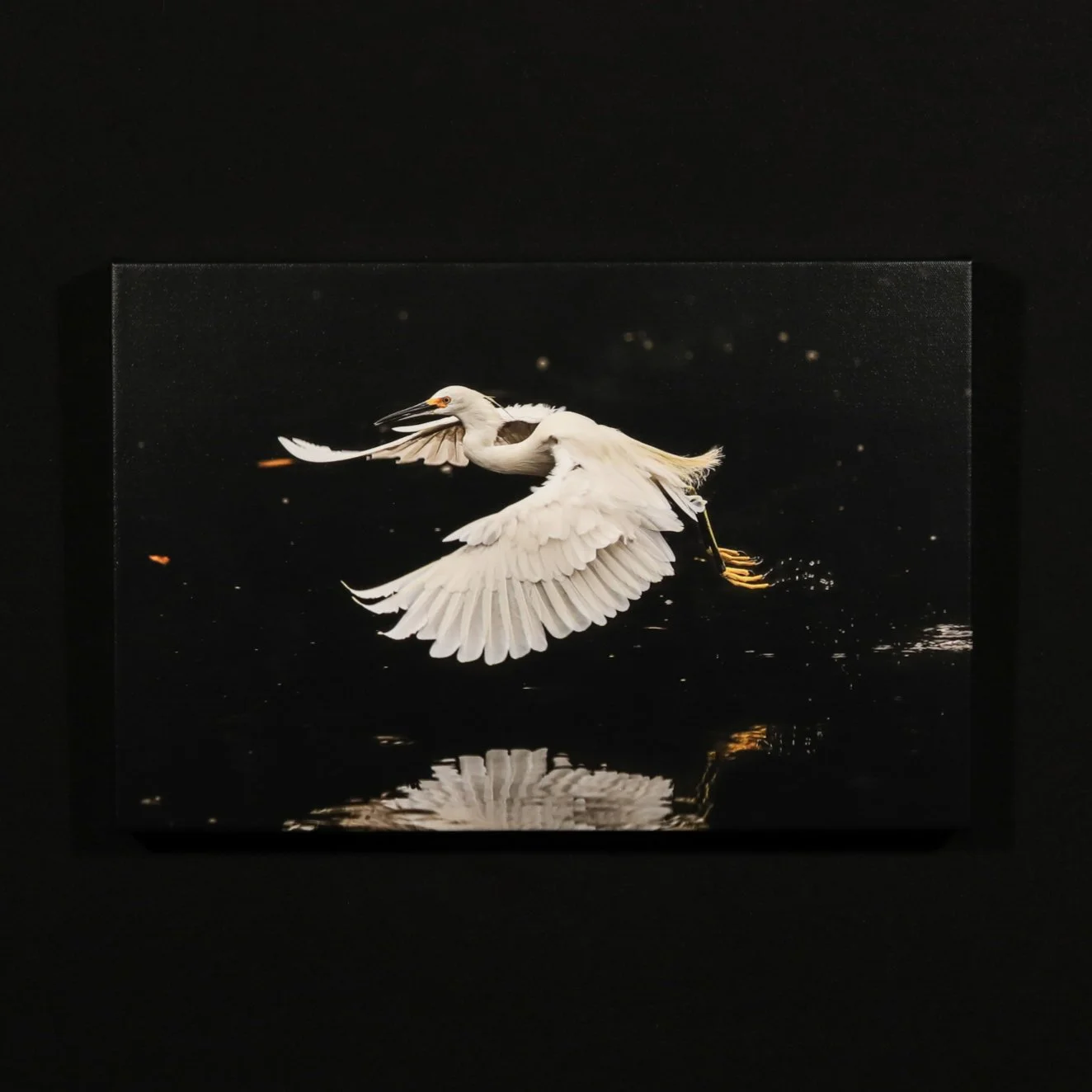 Gallery Wrap Canvas