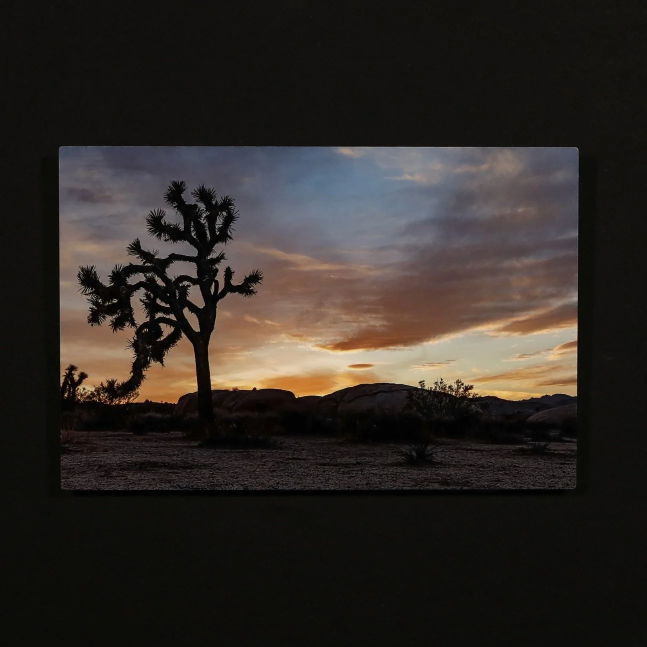 Metal Print