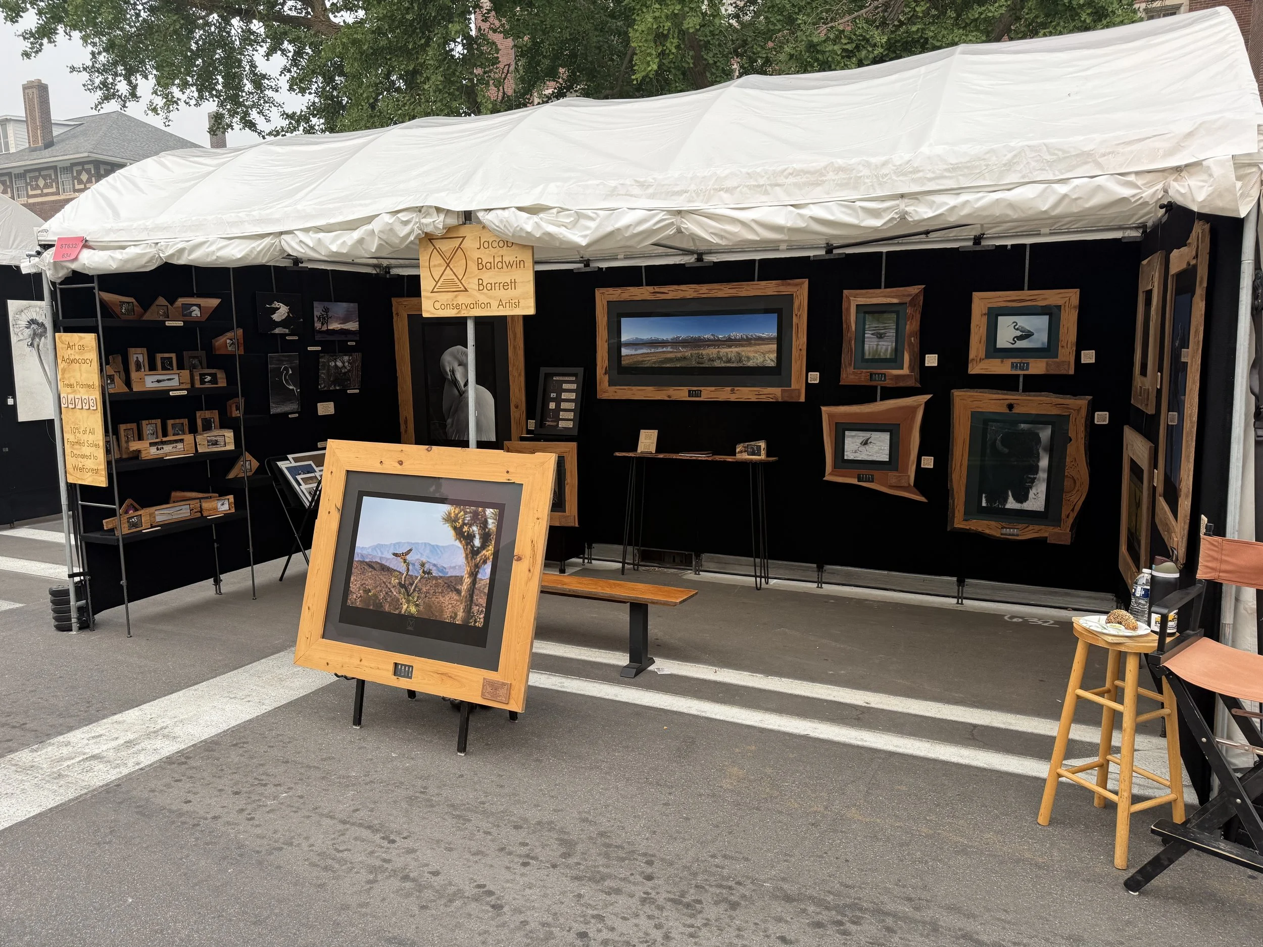 Ann Arbor Booth