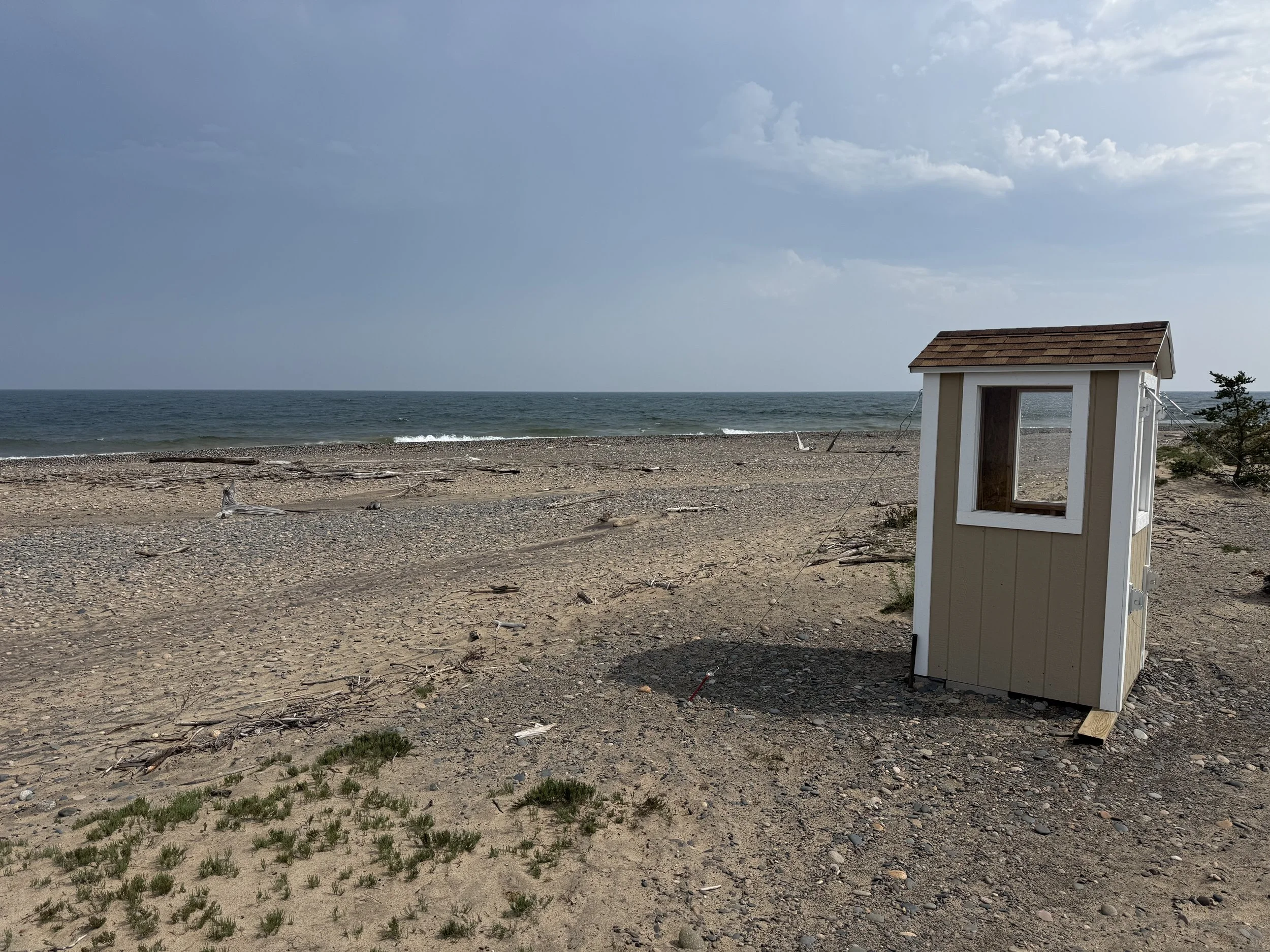 Whitefish Point Bird Observatory