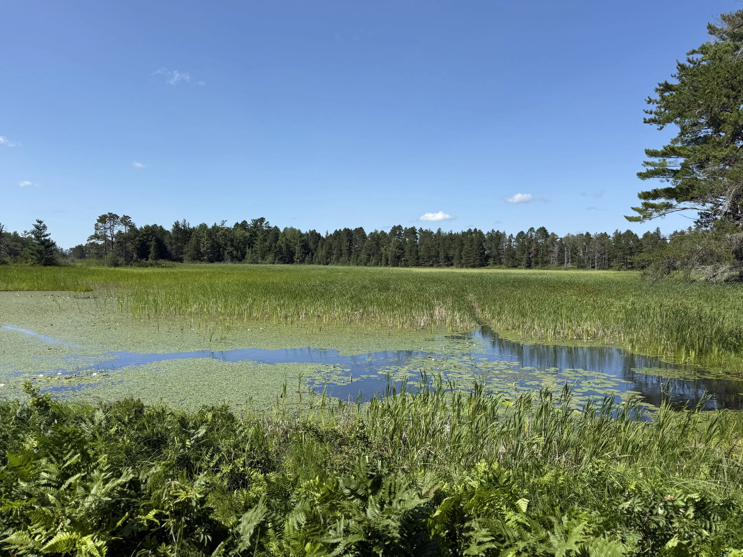 Seney National Wildlife Refuge