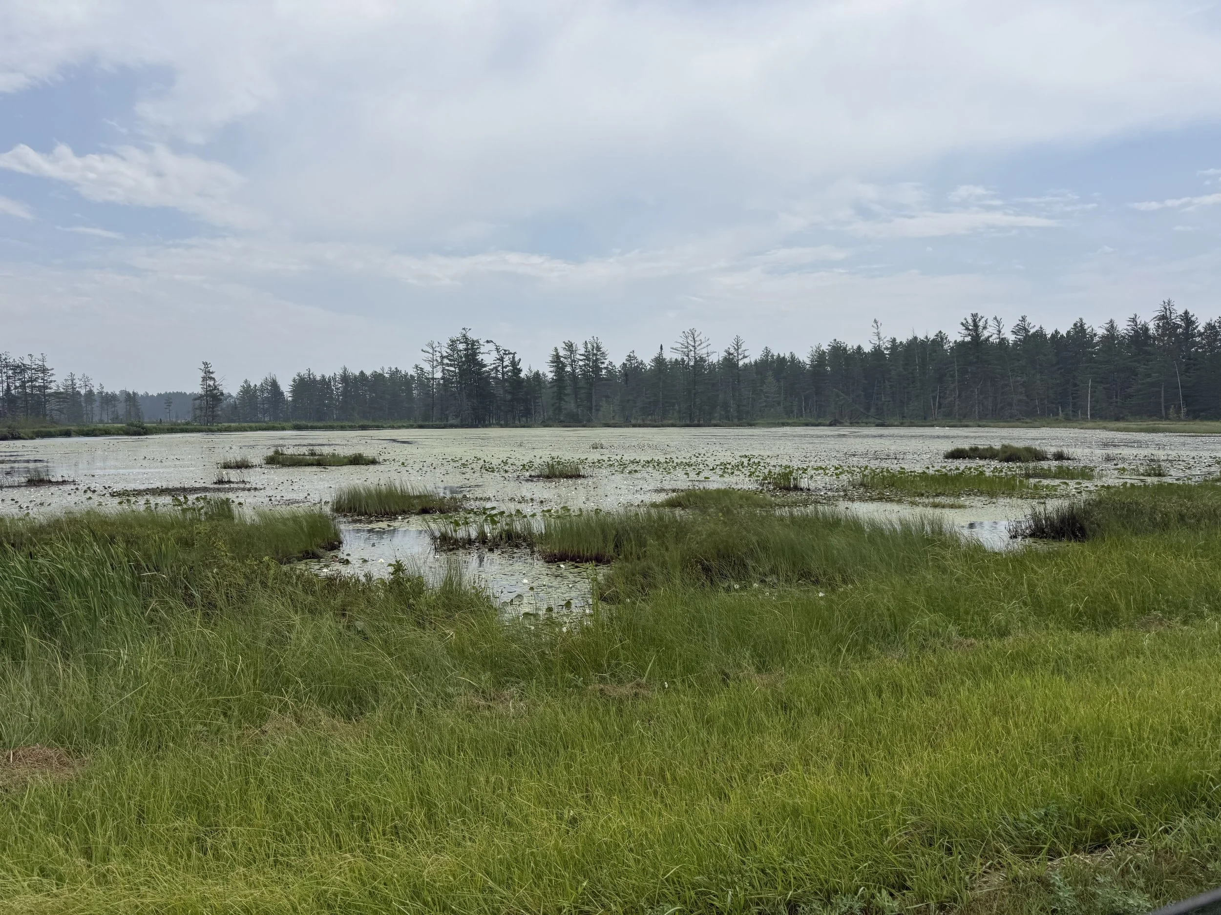 Seney National Wildlife Refuge