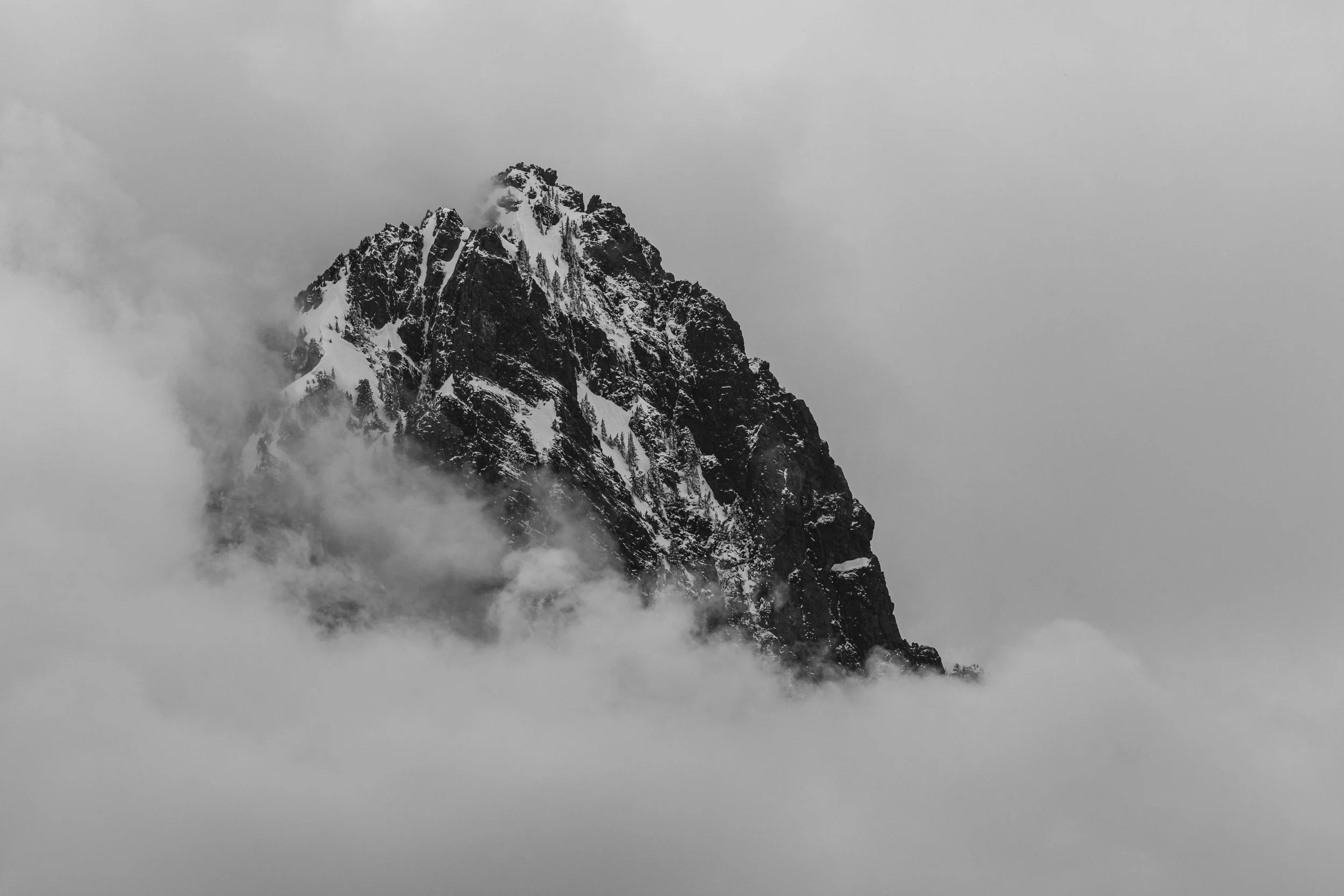 0W7A4546.jpg