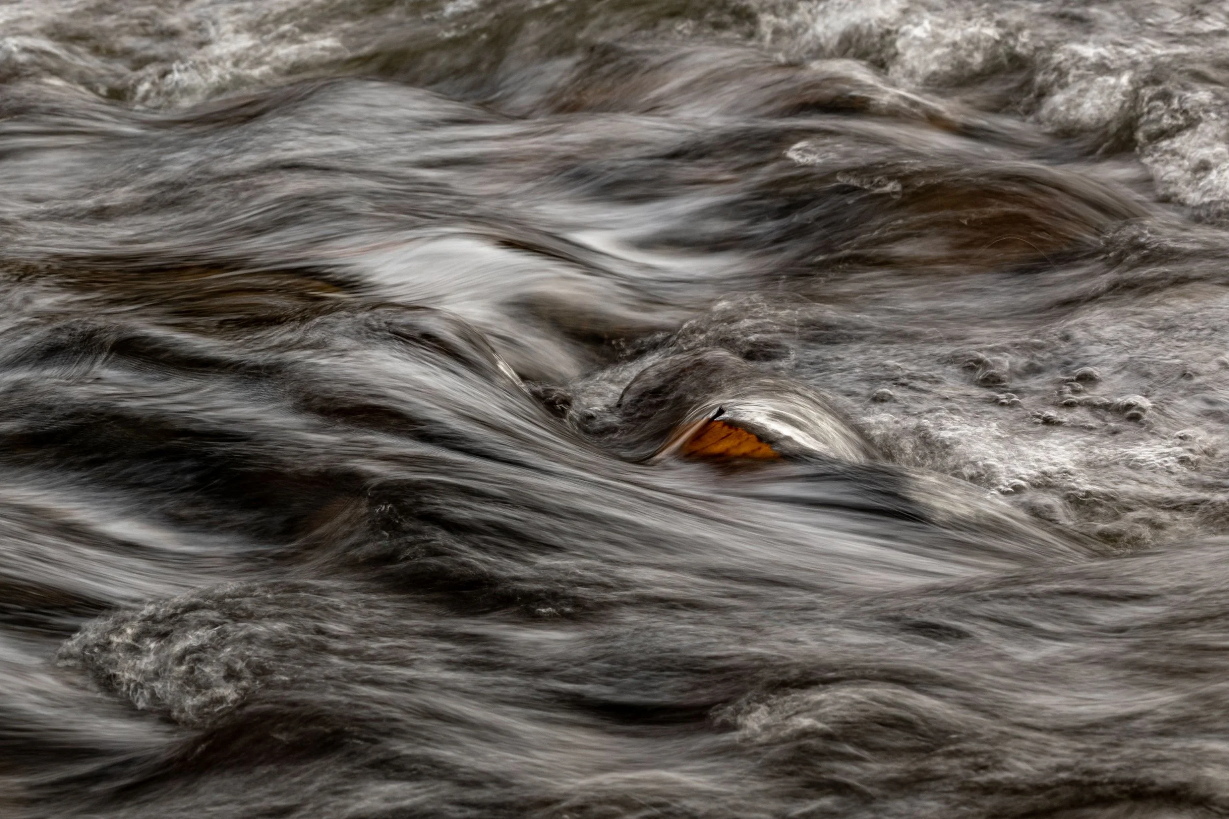 untitled-58.jpg
