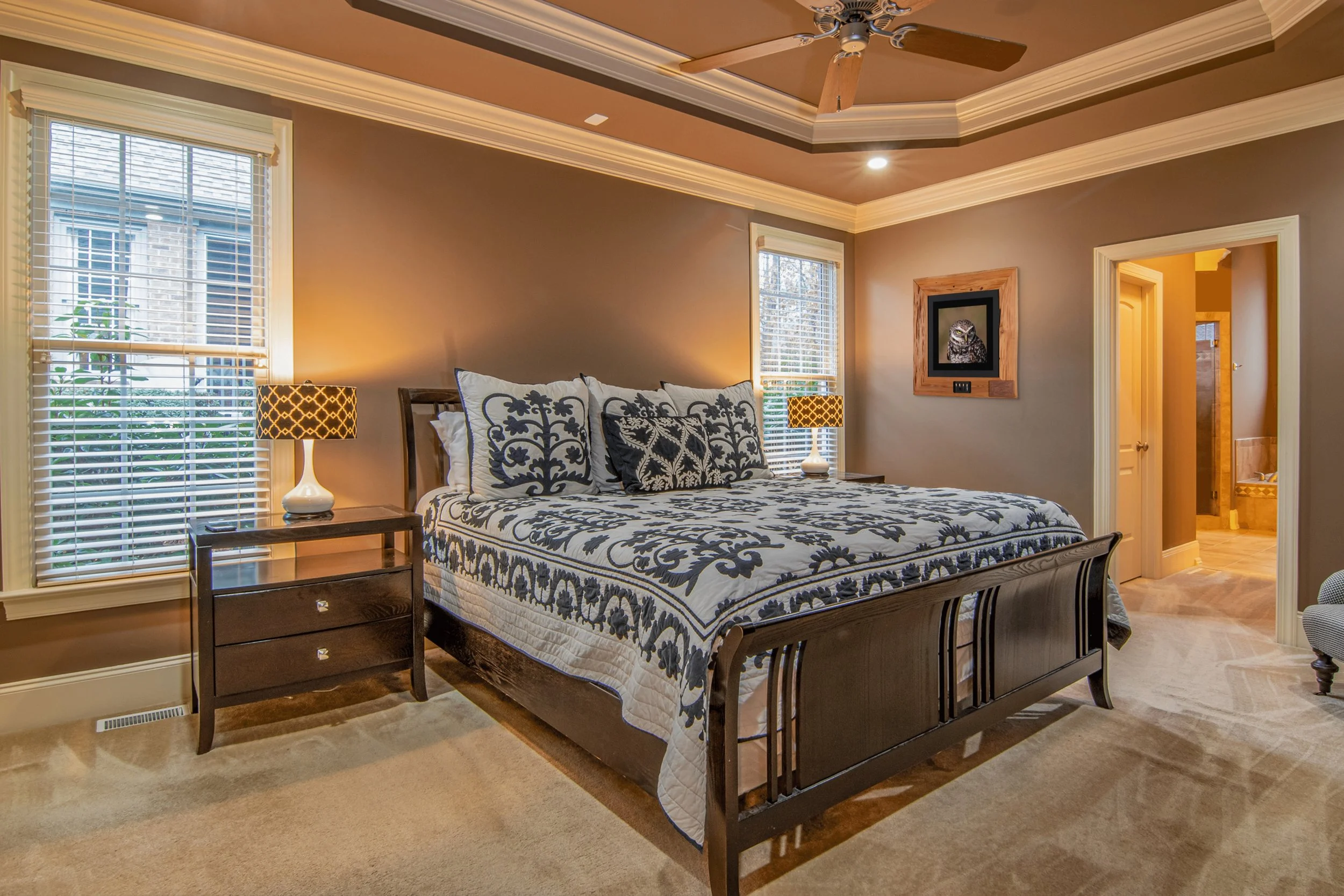 barred owl 3 ROOM.jpg