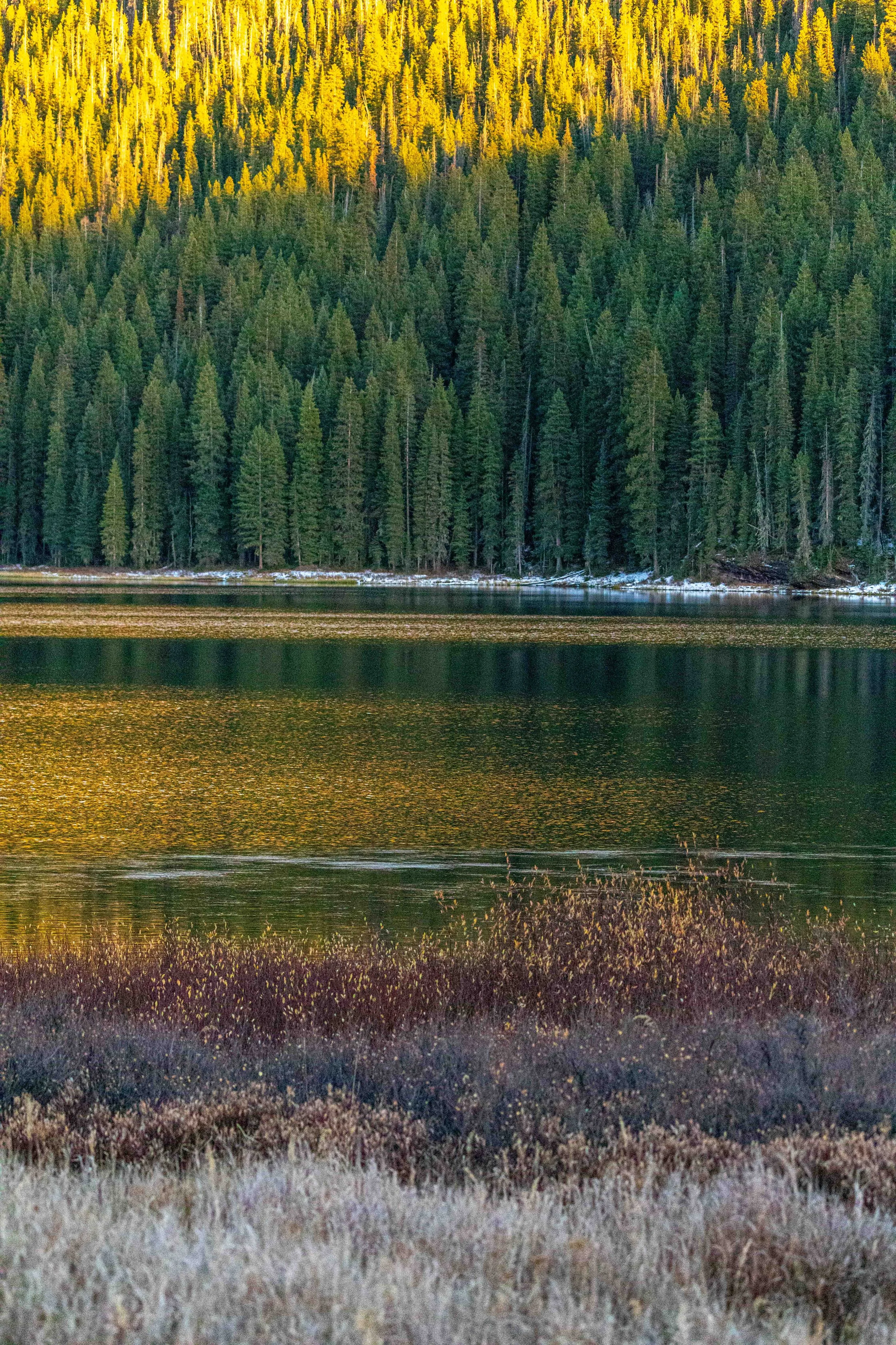 0W7A7377.jpg