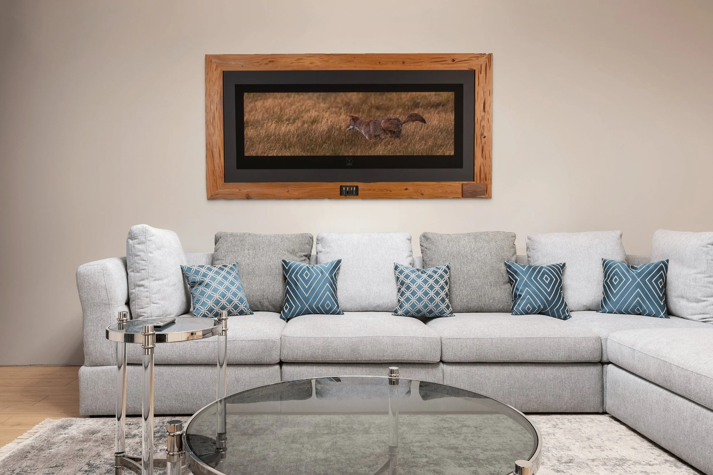 coyote hunting ROOM.jpg
