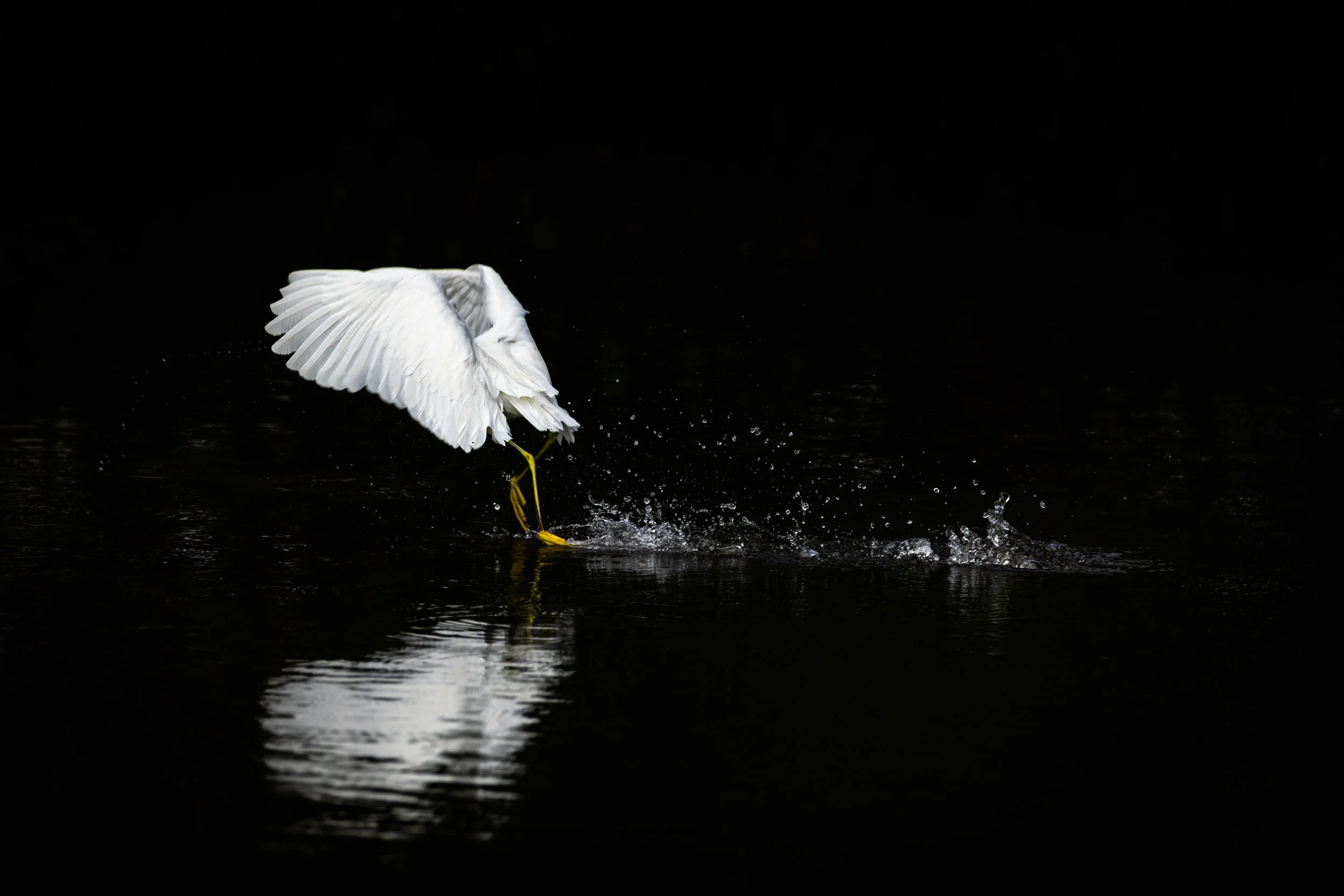 Snowy Dancing Headless.jpg